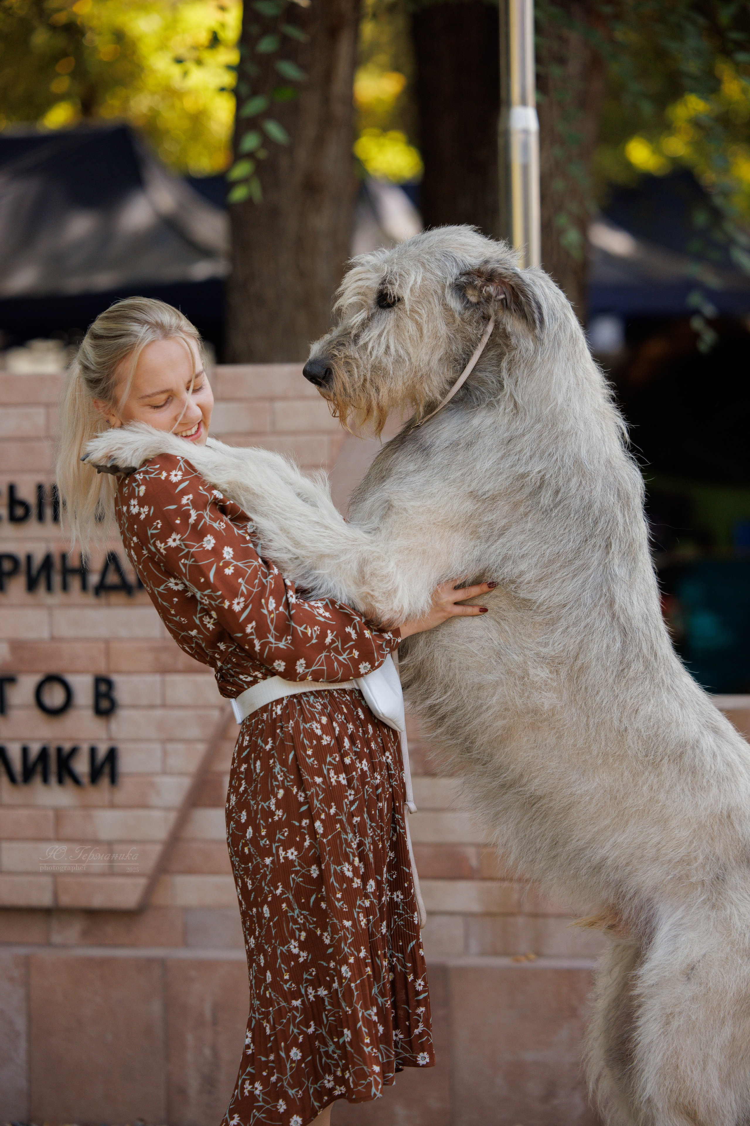 Бишкек 3х CACIB 26-28.09.2025. Фотограф-анималист Юлия Германика