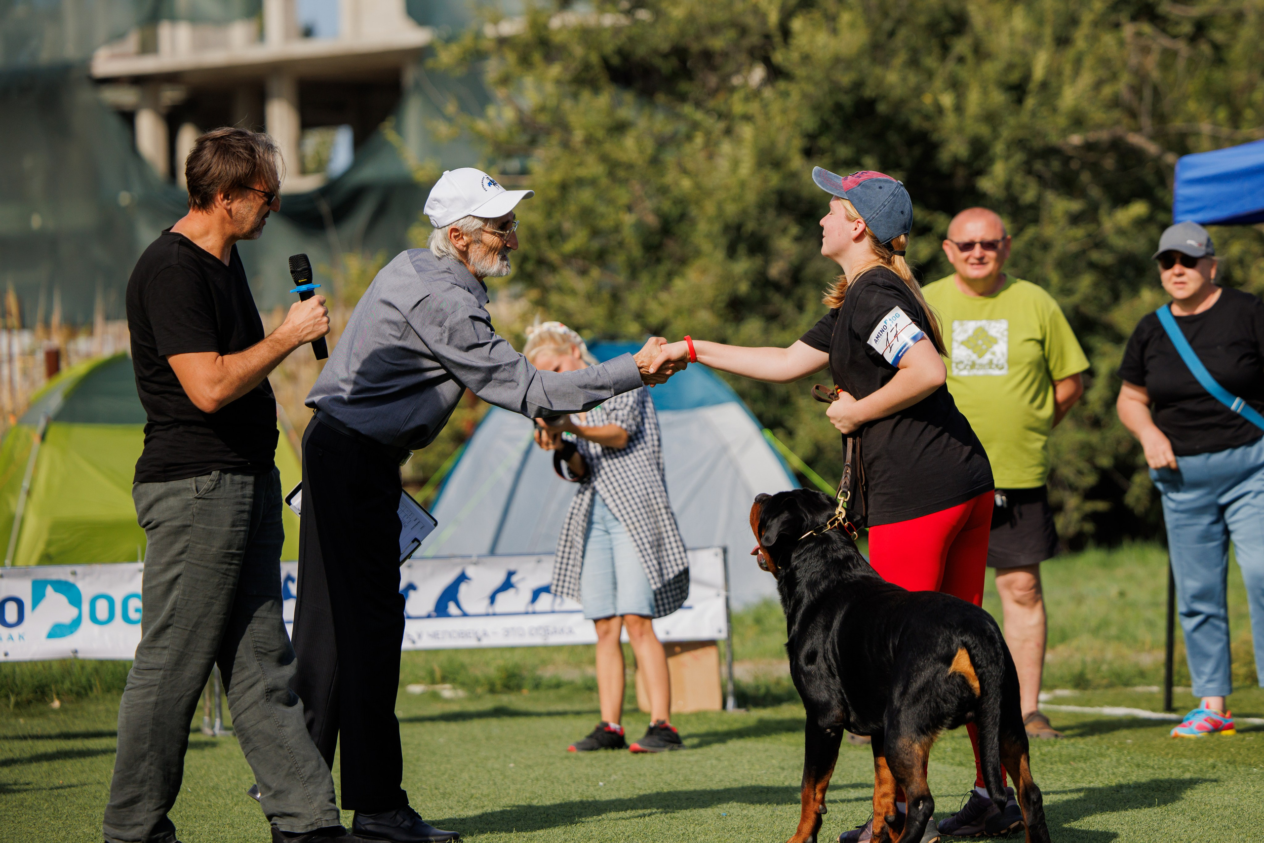 Анапа ротвейлеры 14-15.09.2024. Фотограф-анималист Юлия Германика
