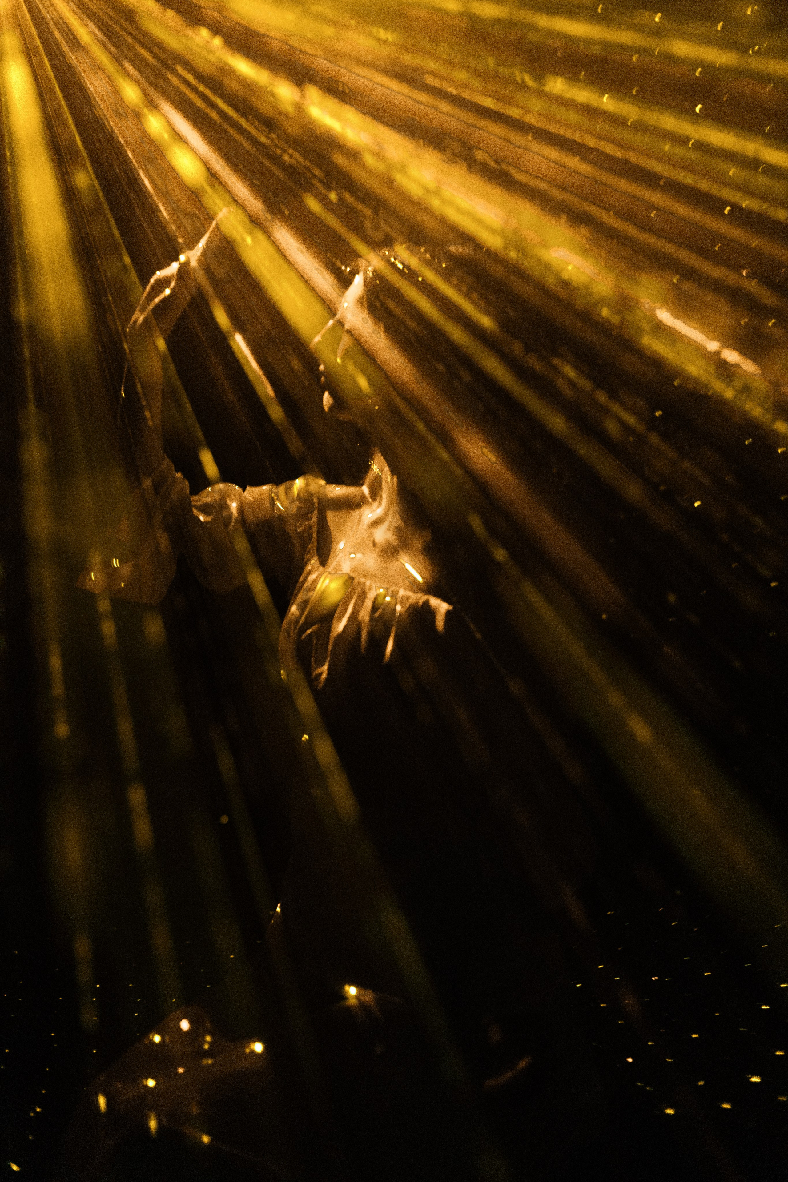 Эвика. Лучи. Портфолио