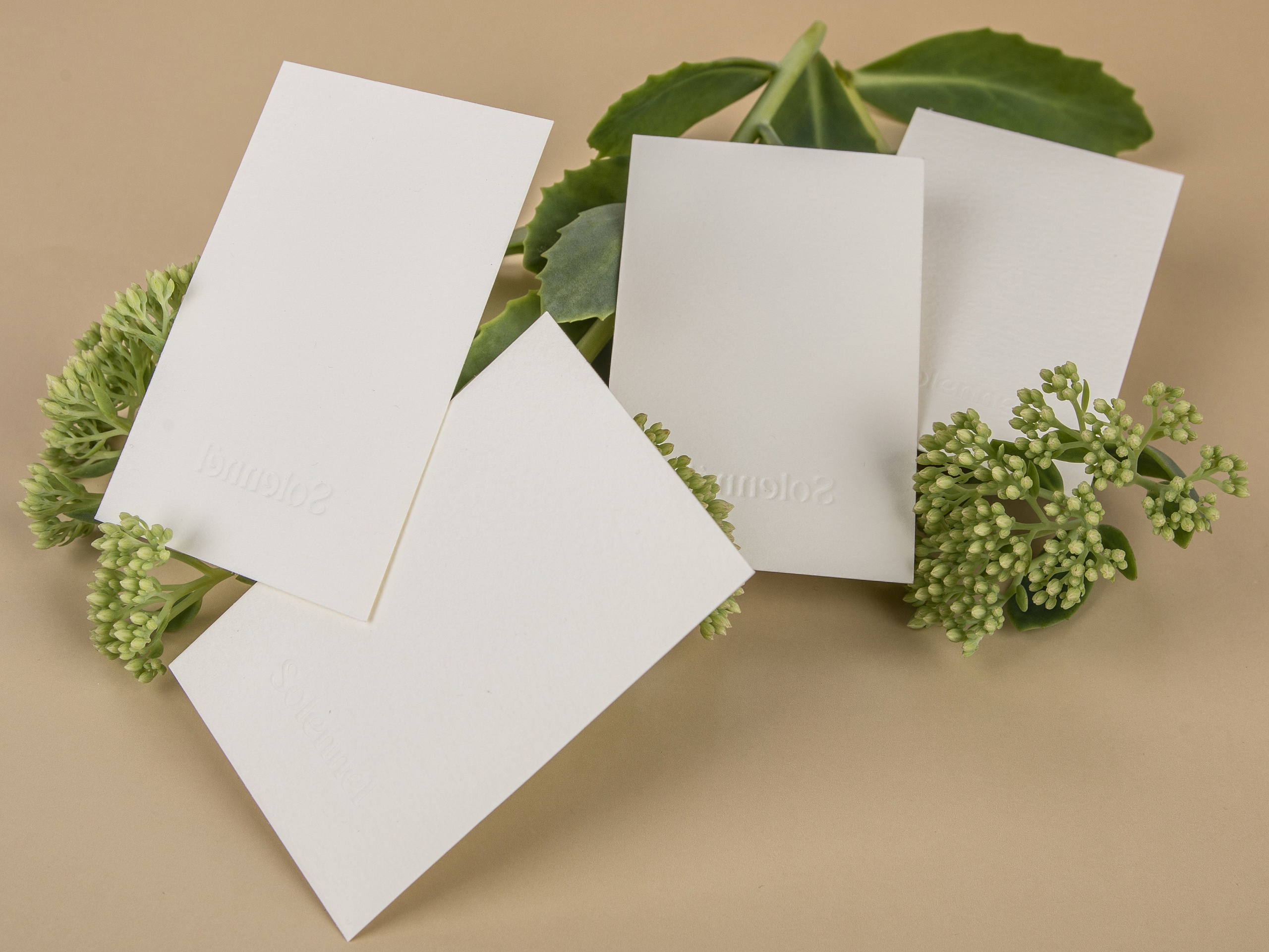 Типография Алес. Предметный и семейный фотограф в Санкт-Петербурге Катерина Стеклова