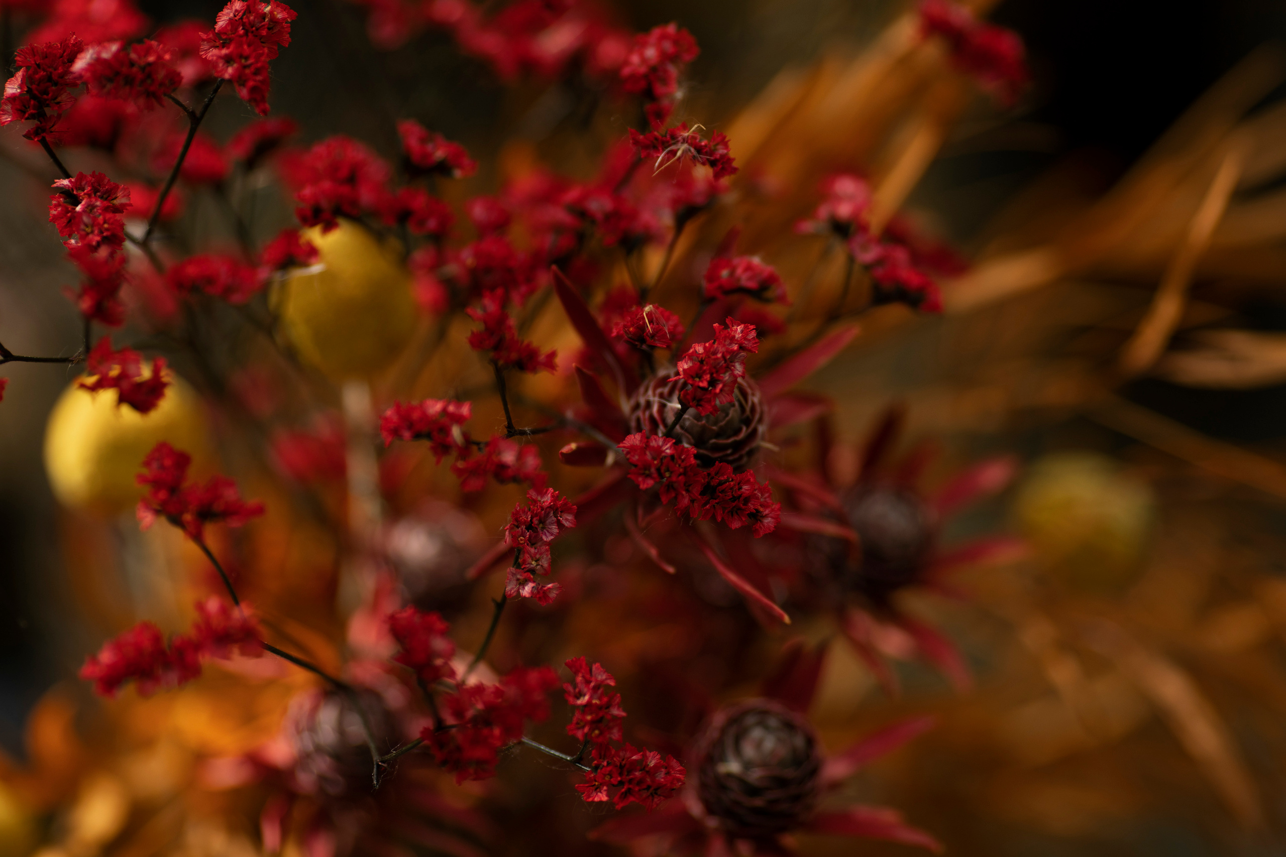 Настя и Дима. Свадебный и портретный фотограф