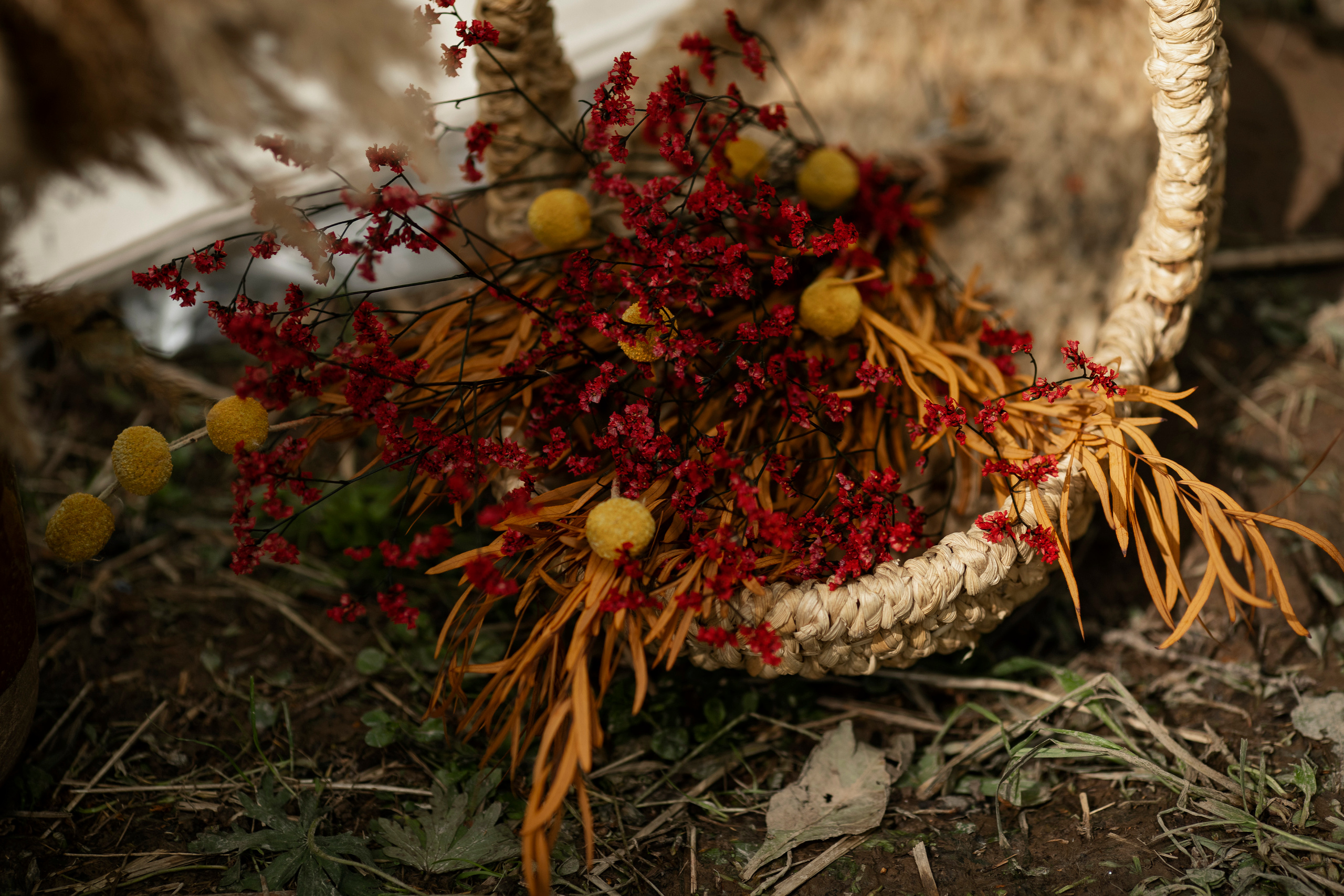 Настя и Дима. Свадебный и портретный фотограф