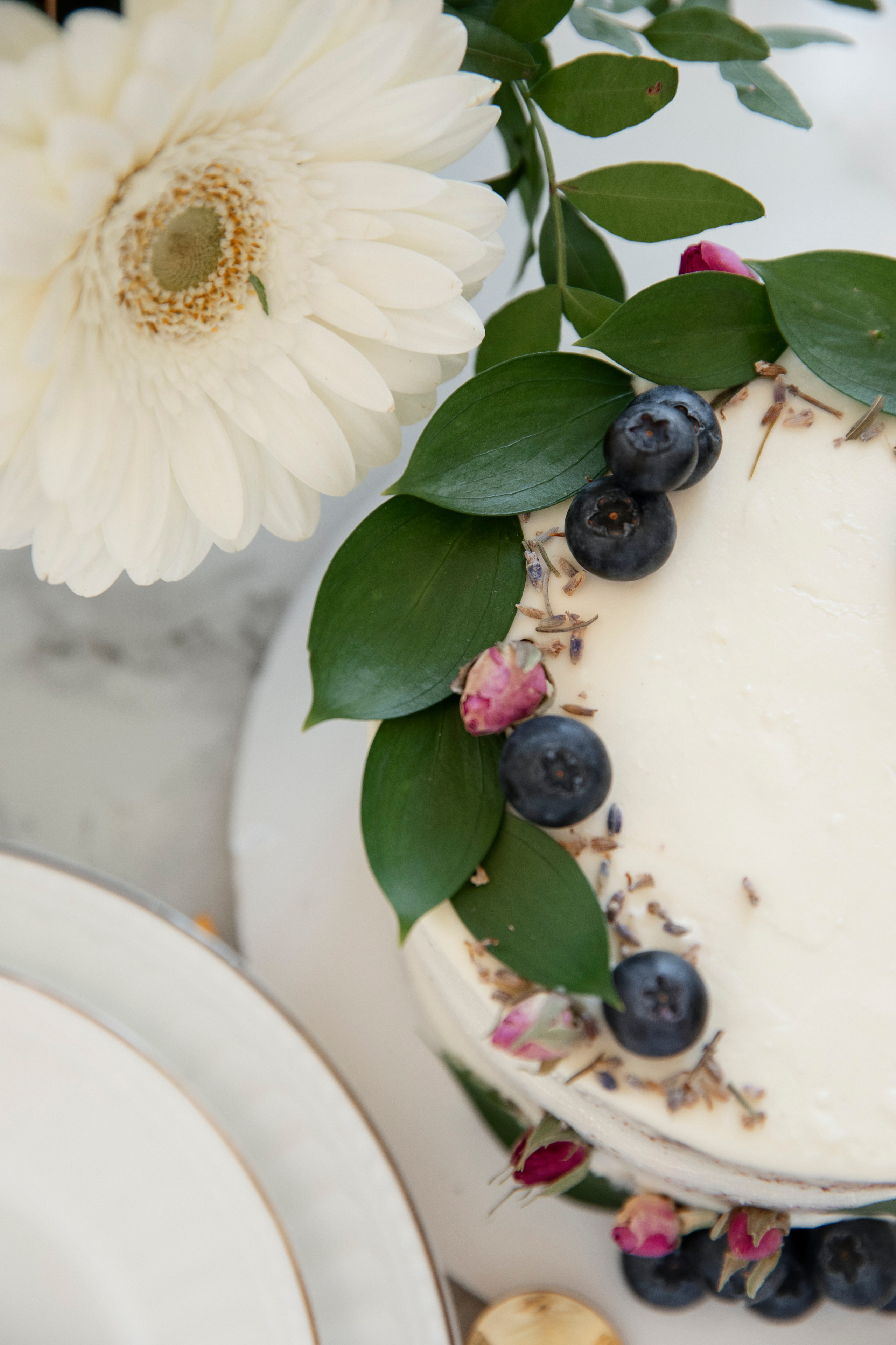 Никита и Дарья. Свадебный и портретный фотограф