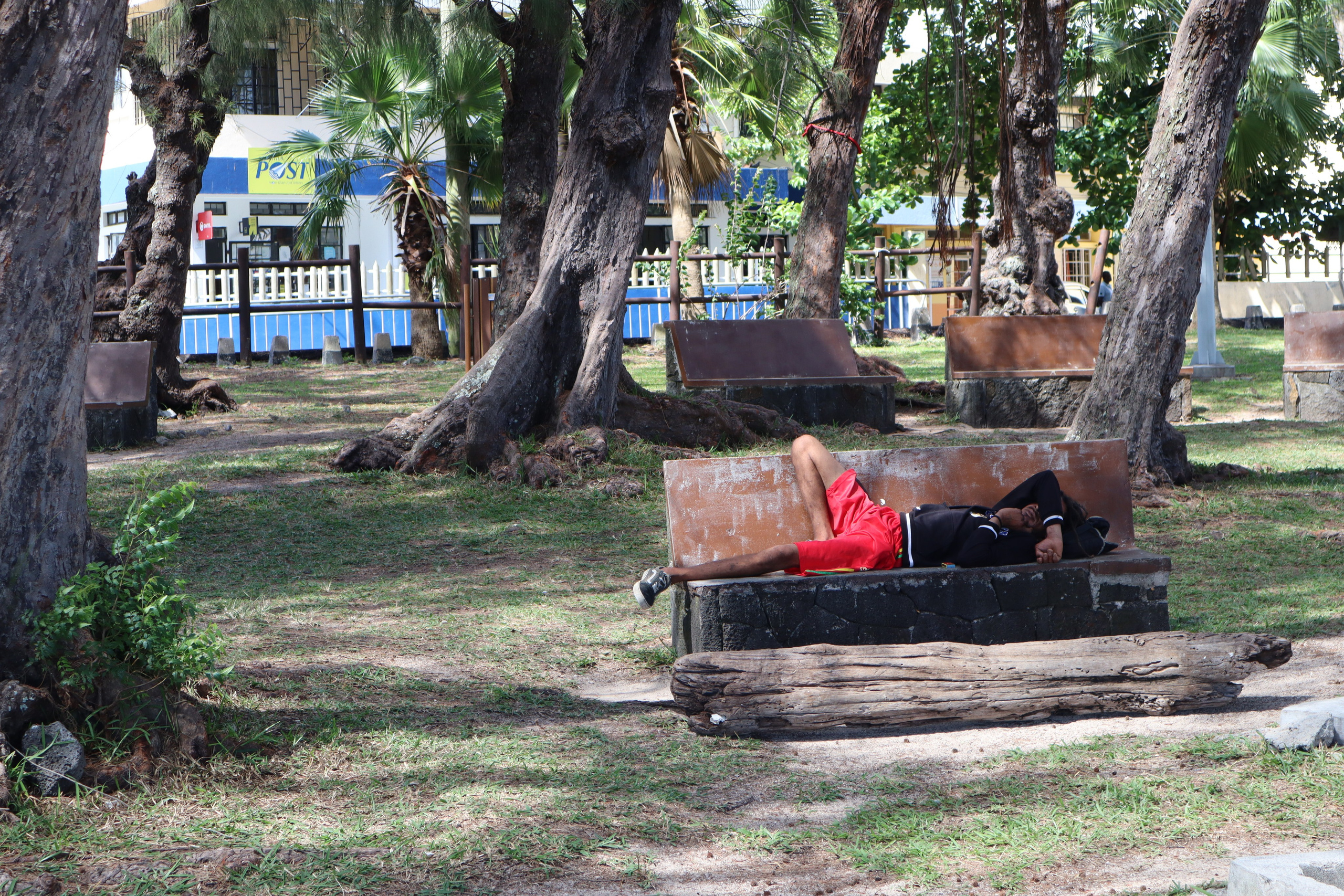 Путешествие на родину птицы додо. Travel photographer Ksenia