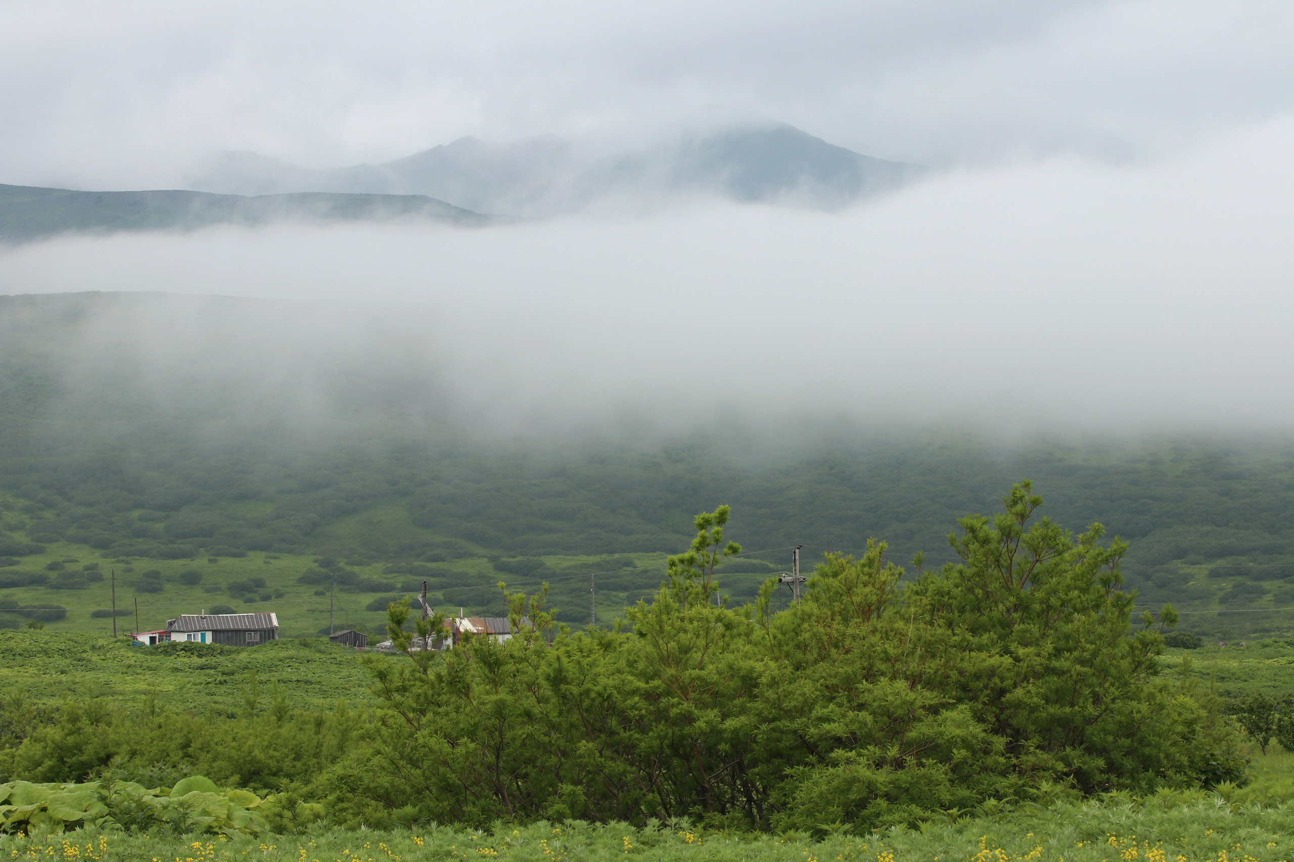 Камчатка и о. Парамушир. Июль 2024. Путешественник-фотограф из Санкт-Петербурга Татьяна Свистулина