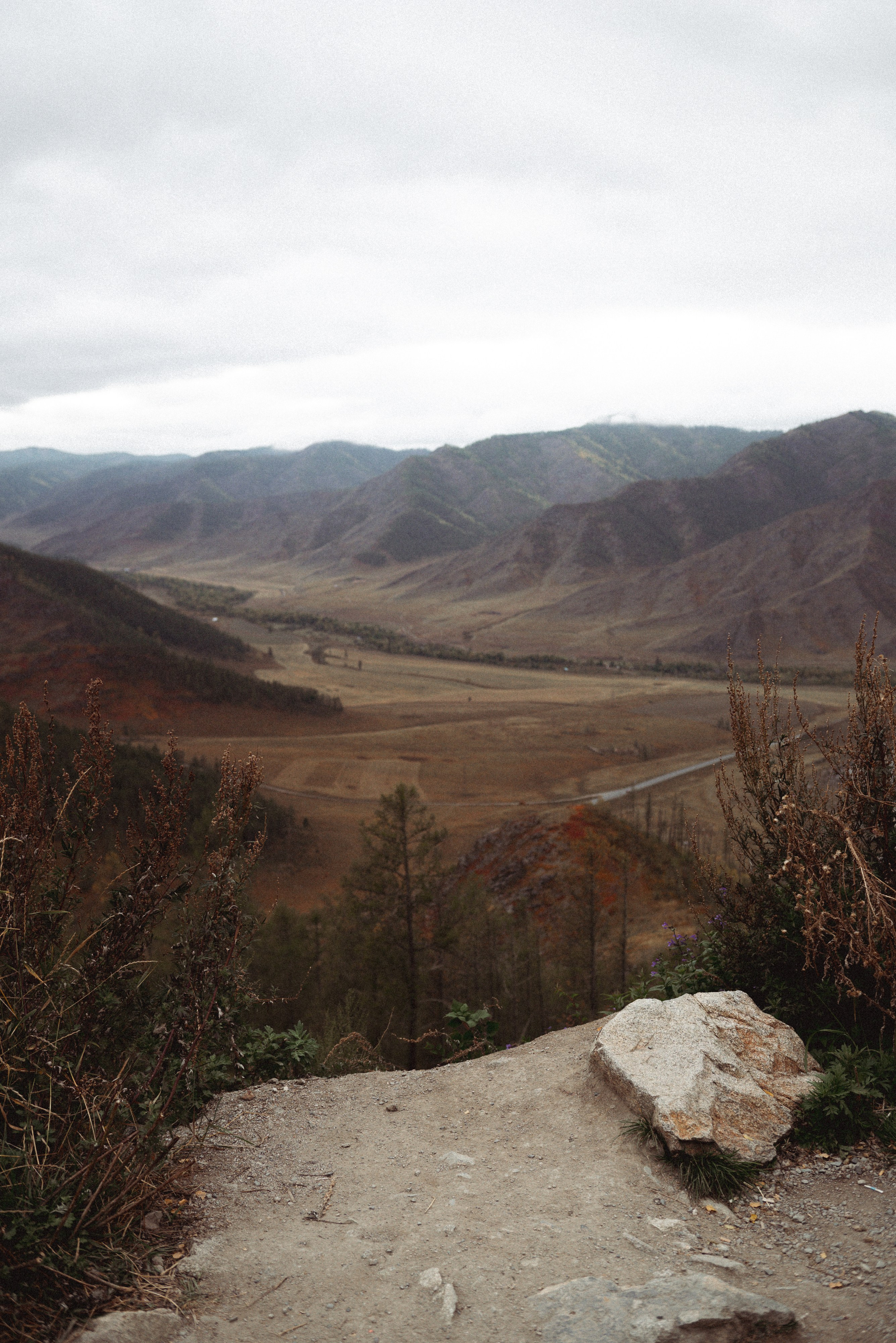 Ретрит по Горному Алтаю. Фотограф Москва Настя Профотовна. Репортажные, свадебные и контент фотосессии