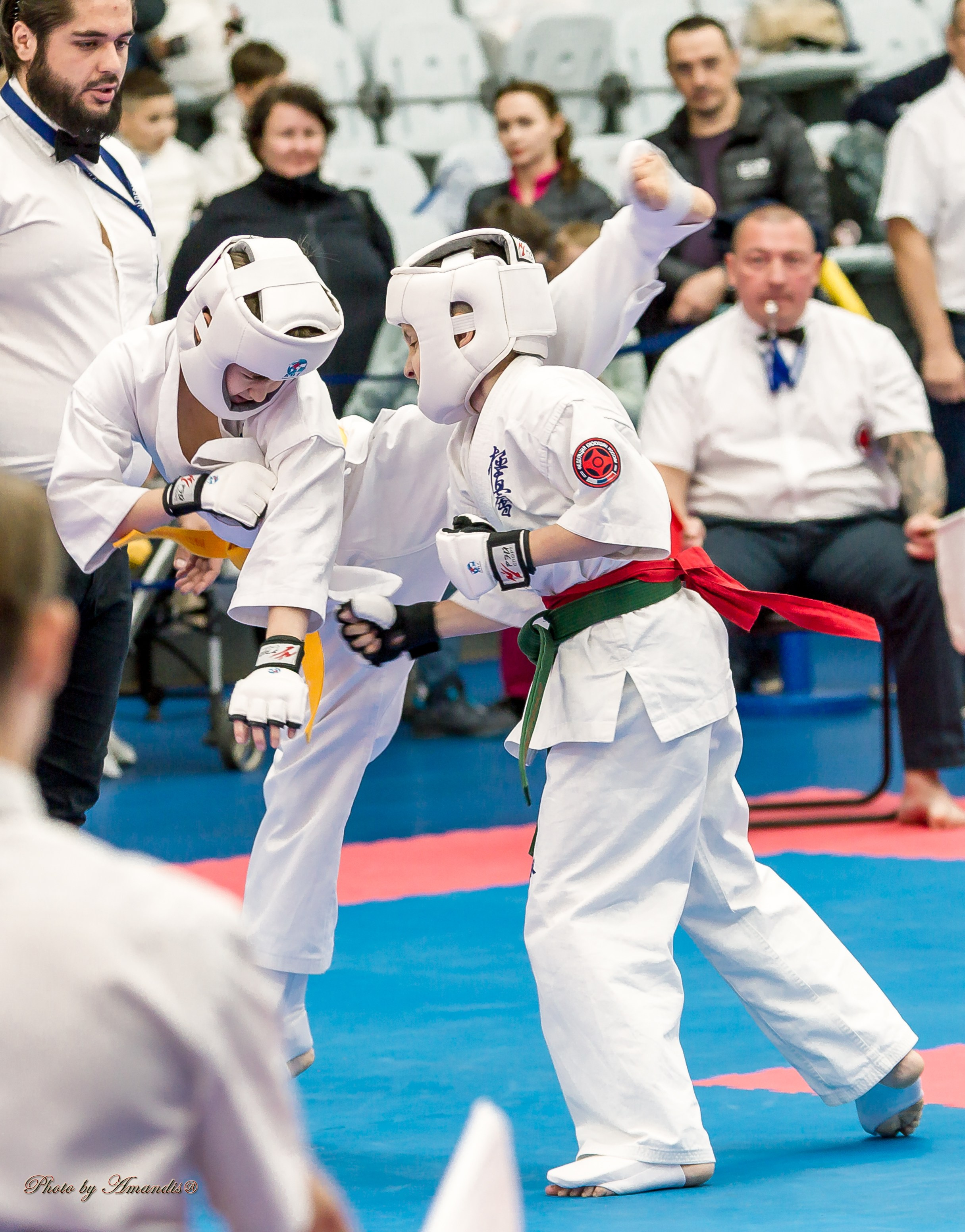 Чемпионат по Киокушинкай Центрального Федерального округа. Репортажная съемка в Москве и области. Анималистика