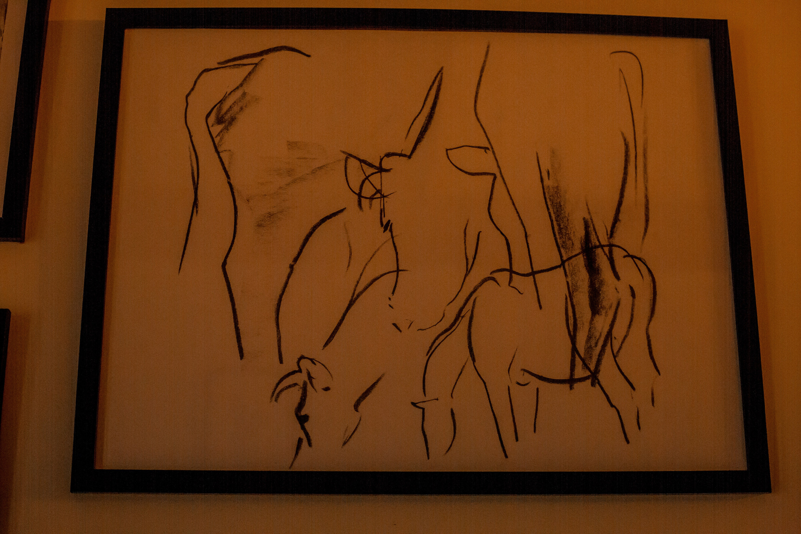 Turkey, Rize. Art Photographer