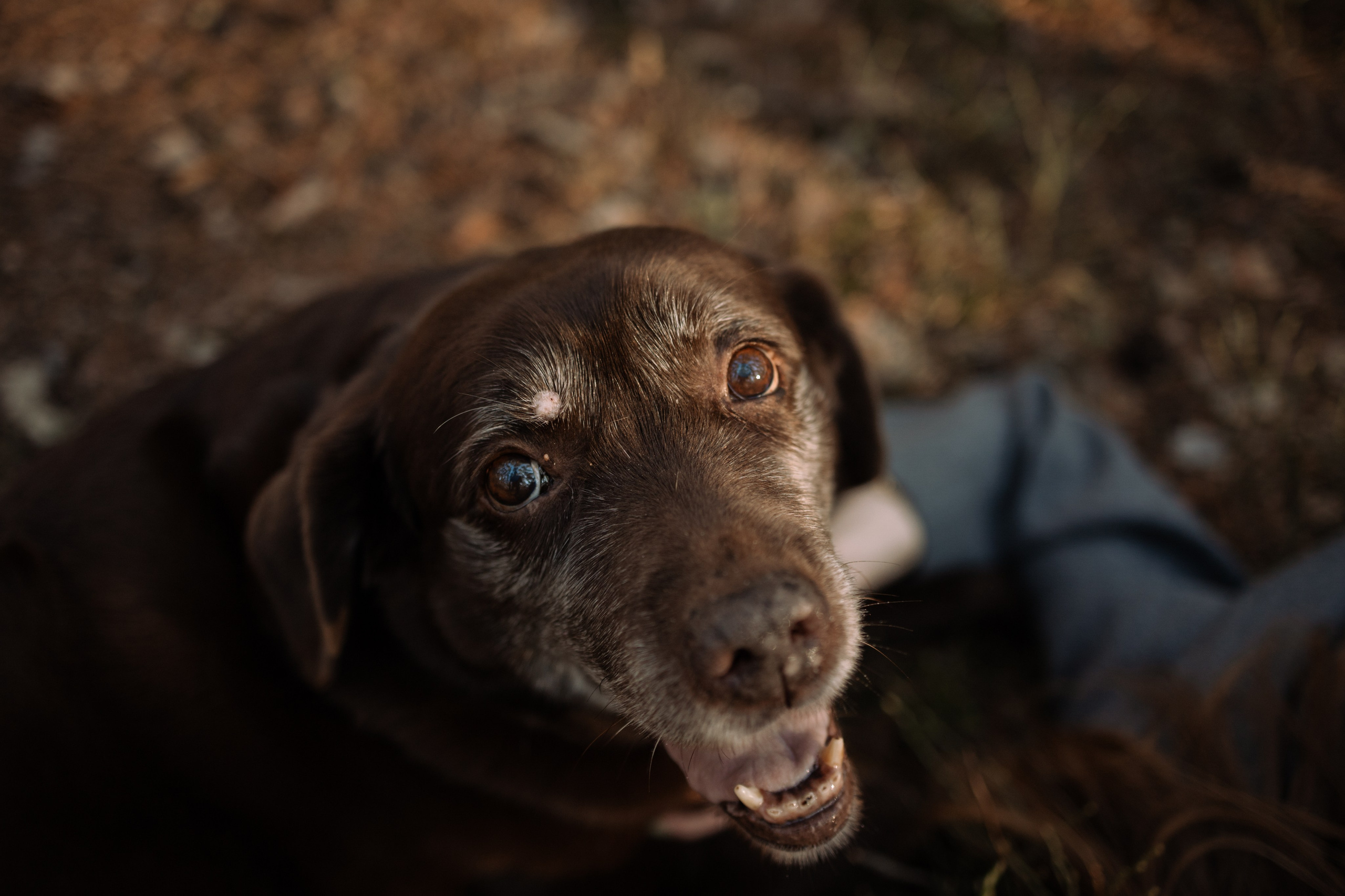 Оля и Питоня. Фотограф — Анималист | Санкт-Петербург