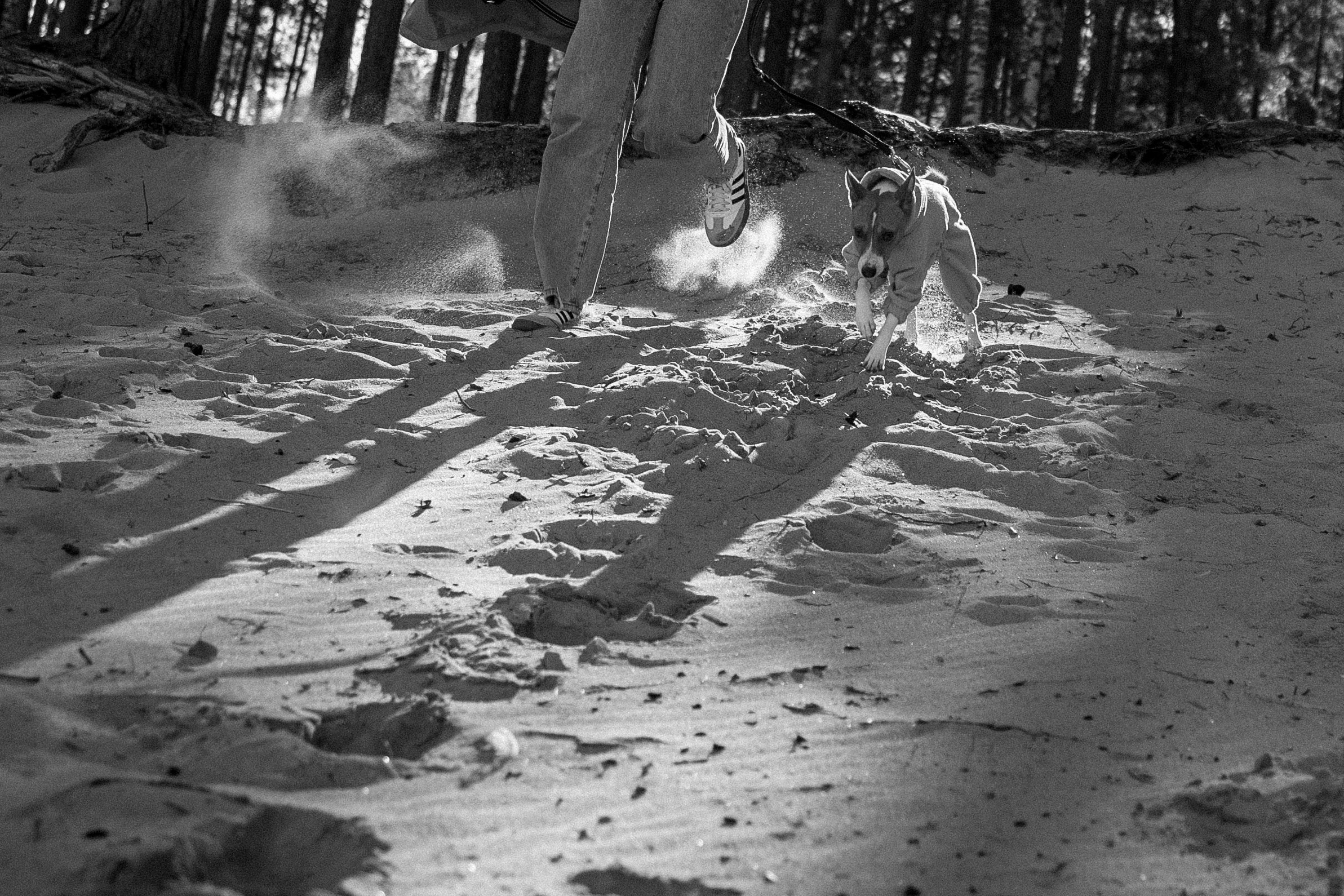 Алиса и Лео. Фотограф — Анималист | Санкт-Петербург