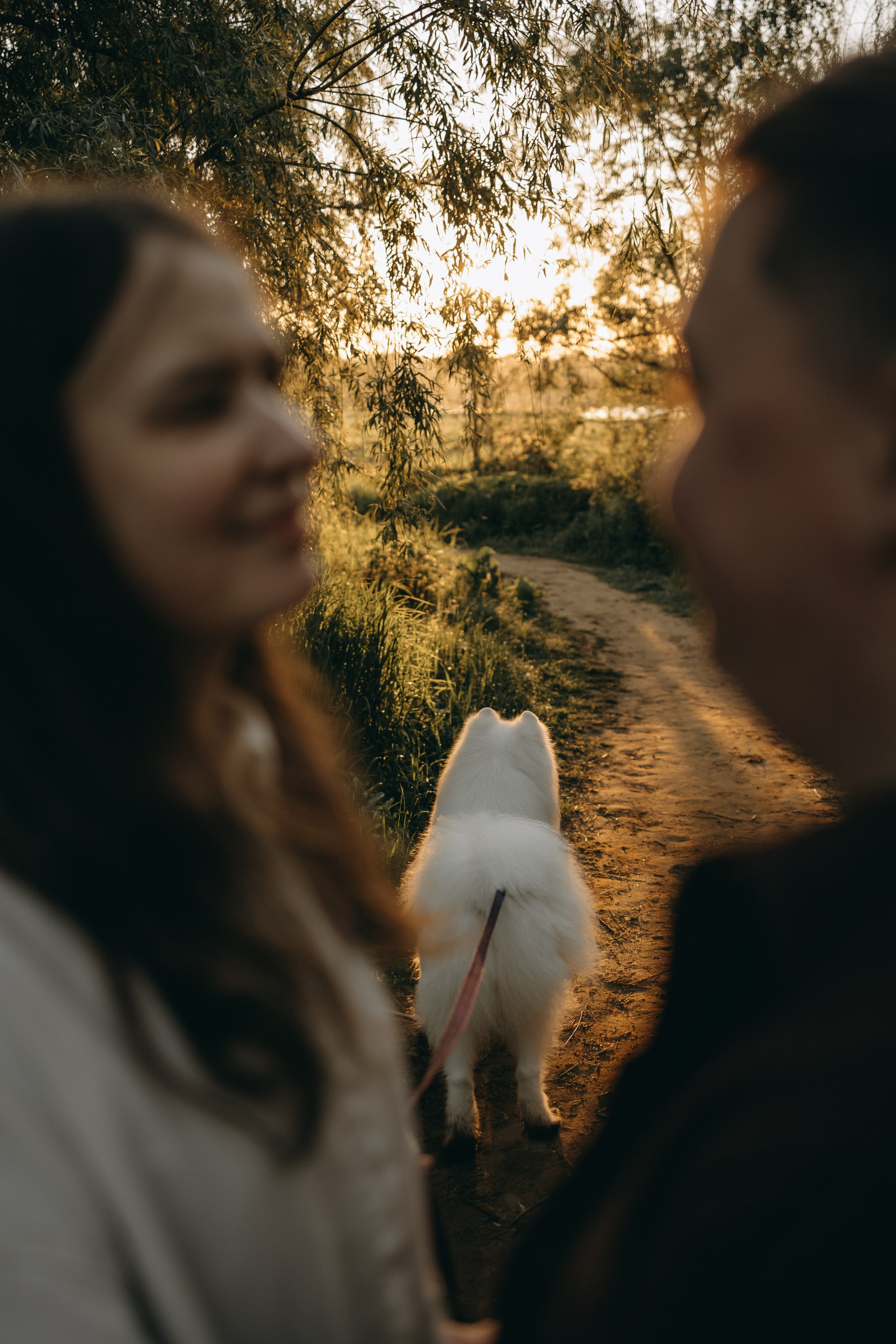 Танго и его семья. Фотограф — Анималист | Санкт-Петербург