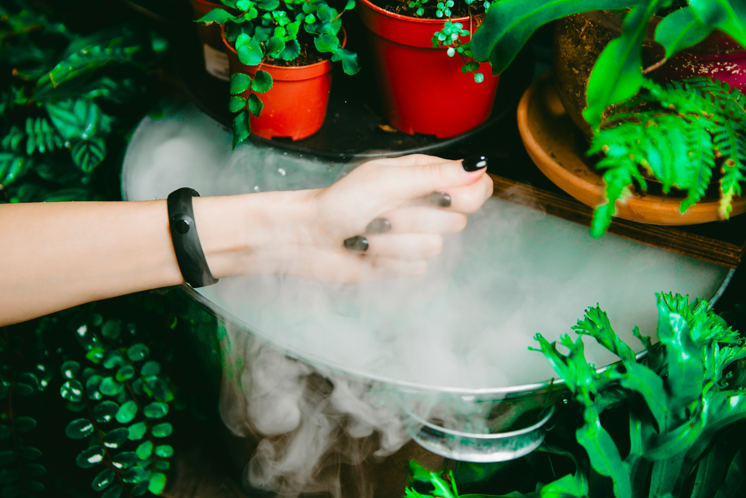 Юля в Джунглях. Свадебный и репортажный фотограф в Ярославле Евгений Шовдин