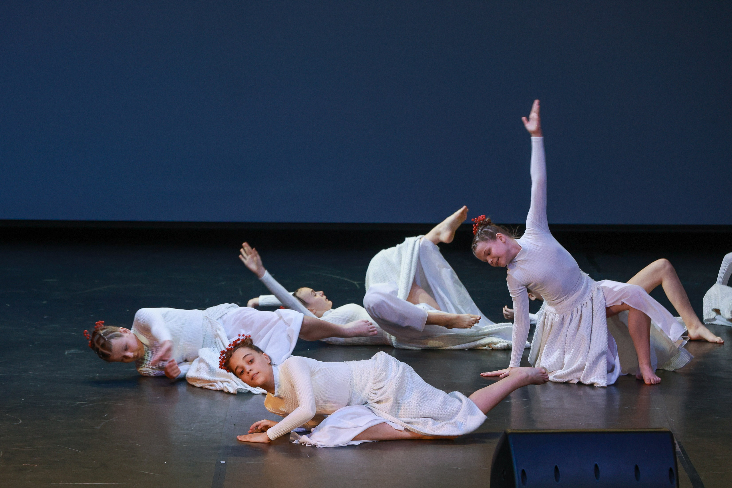 Небесные ласточки на Танц ЭКСПО 2026. Фотограф Юлия Мальцева