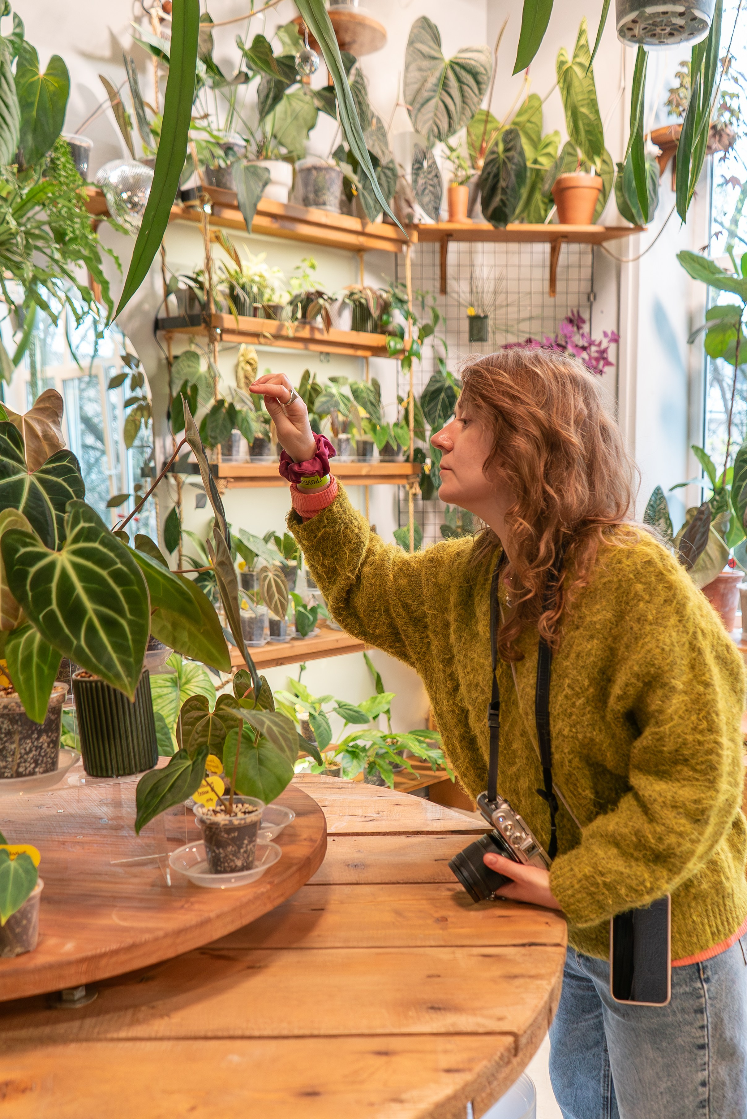 Make more plants. Александра Куликова фотограф, Москва
