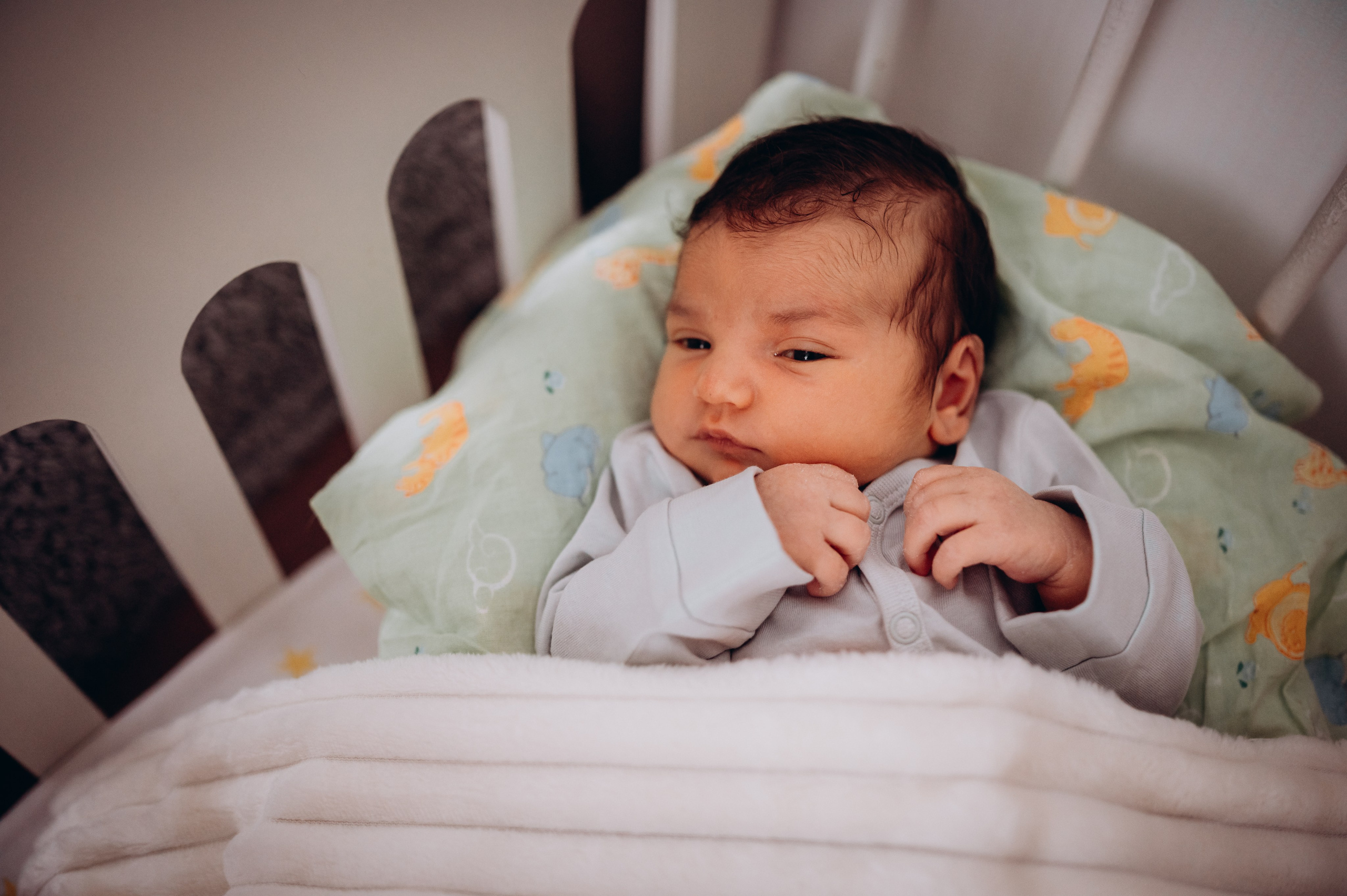 Наталия Михаил Давид Вика и Аня. Детский и семейный фотограф в Москве