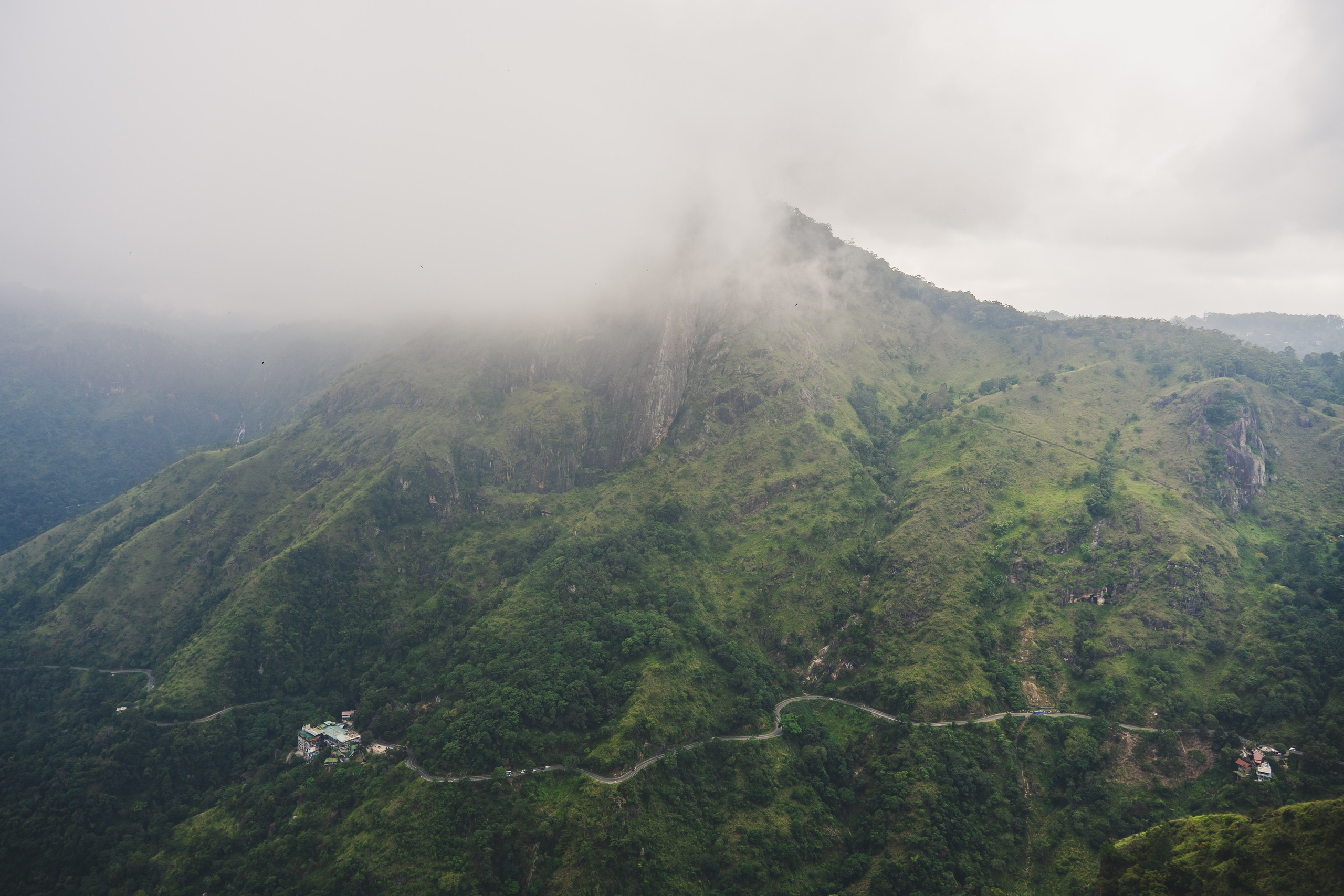 Шри-Ланка 2025. Легкая фотография