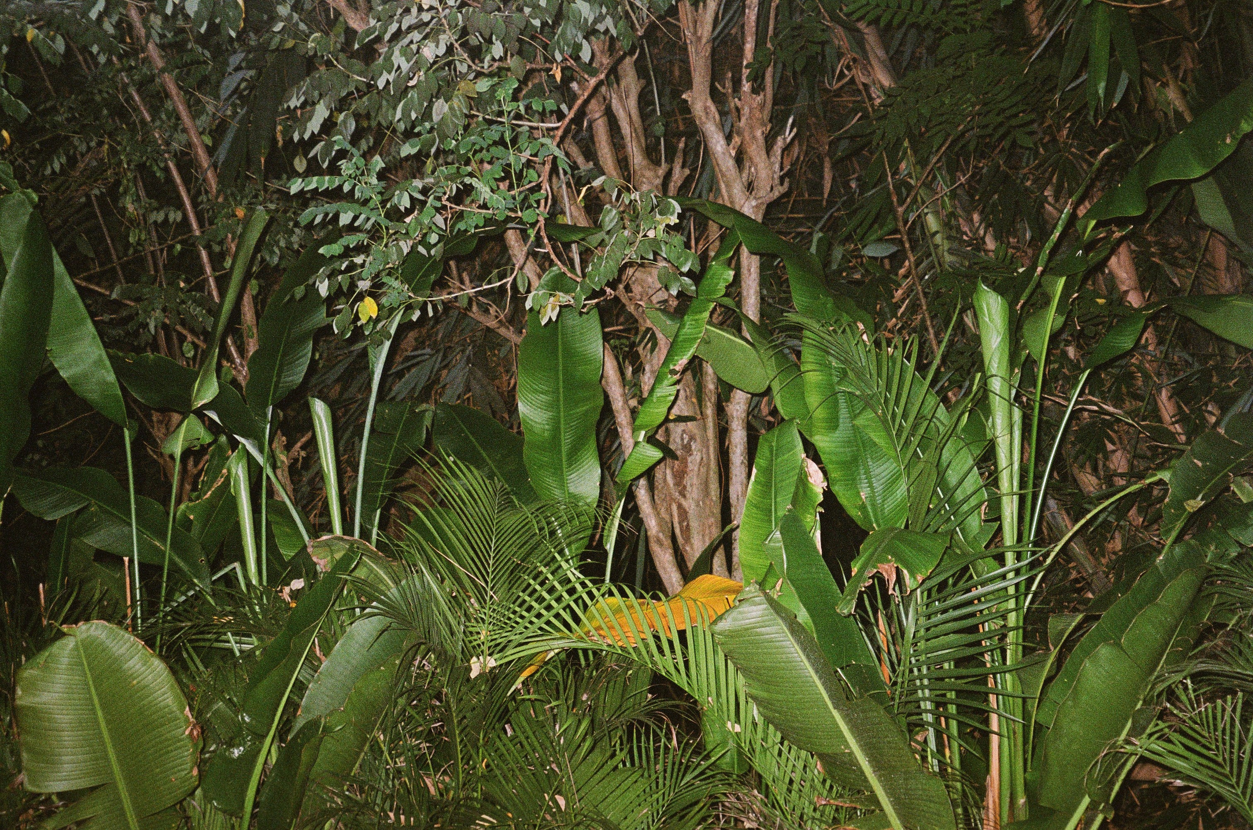 SOMEWHERE. Carolinetru