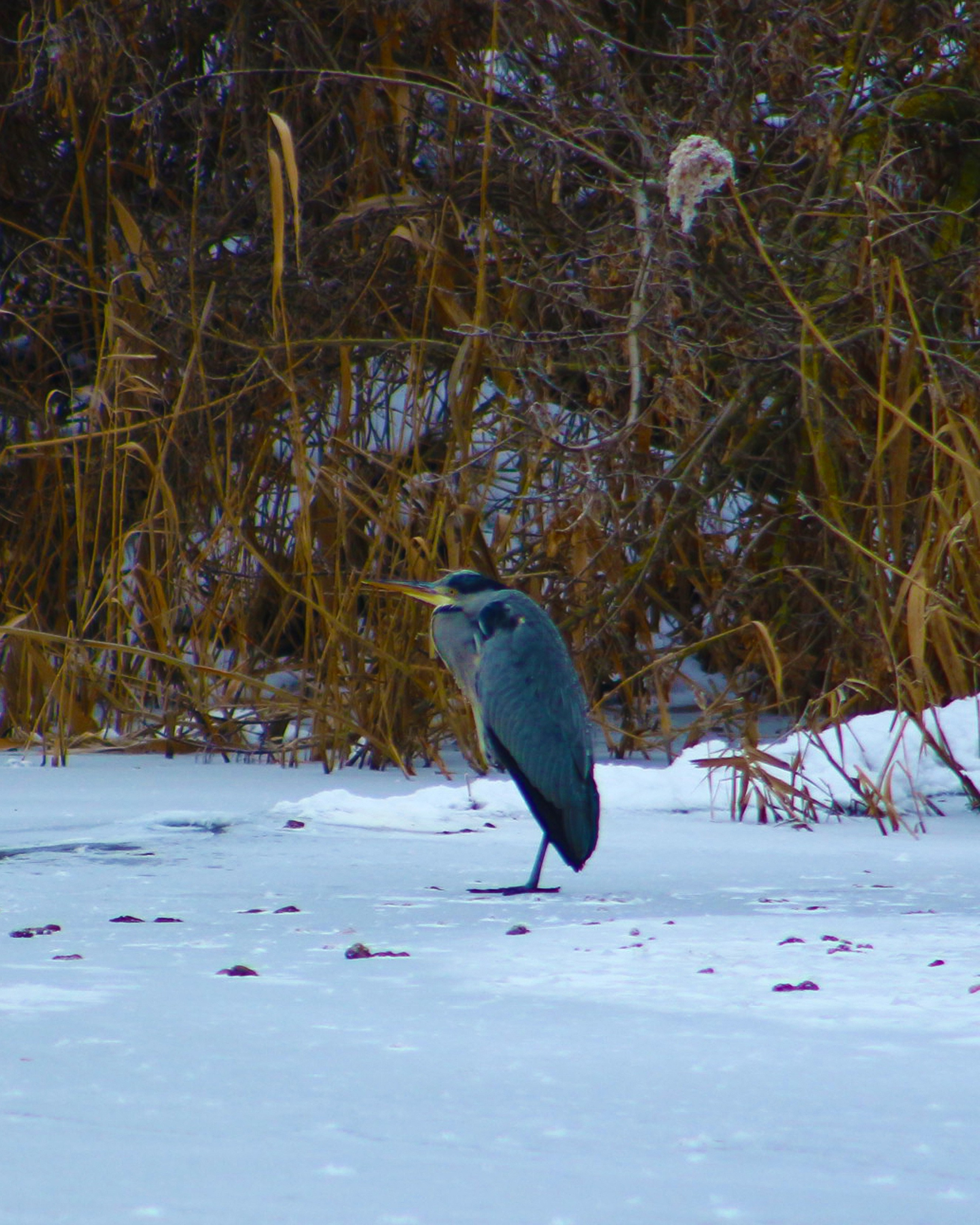 Пейзажи. Фотограф из Донецка Александр Турко
