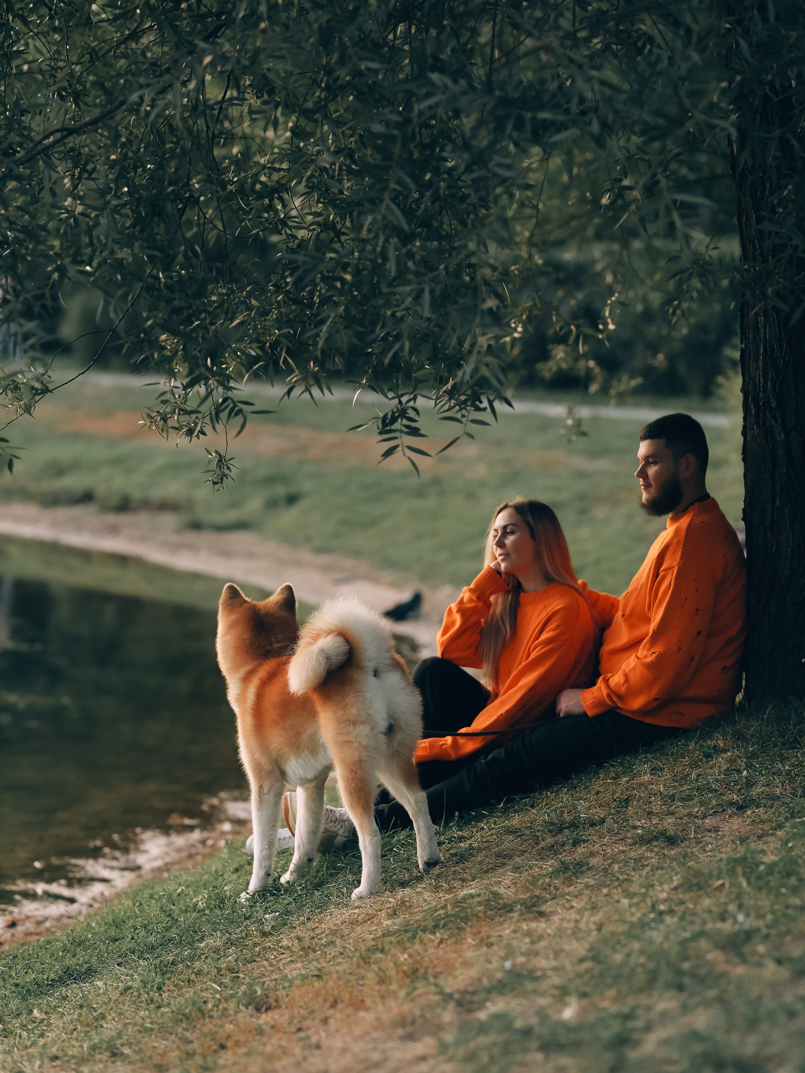 Гранд, Вика и Степан. Фотограф-анималист в Москве Кириллова Татьяна