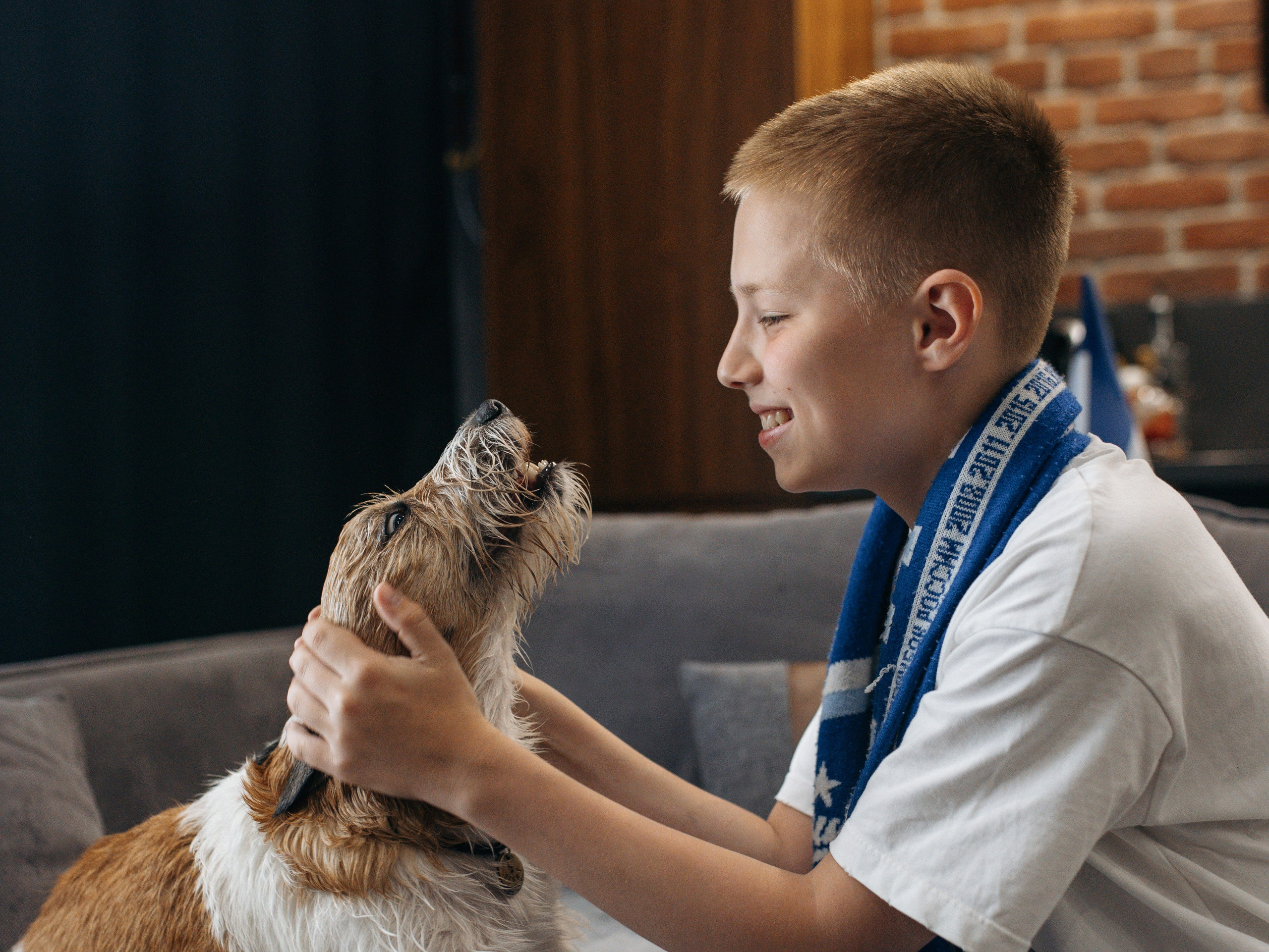 День рождение Зенита. Фотограф-анималист в Москве Кириллова Татьяна