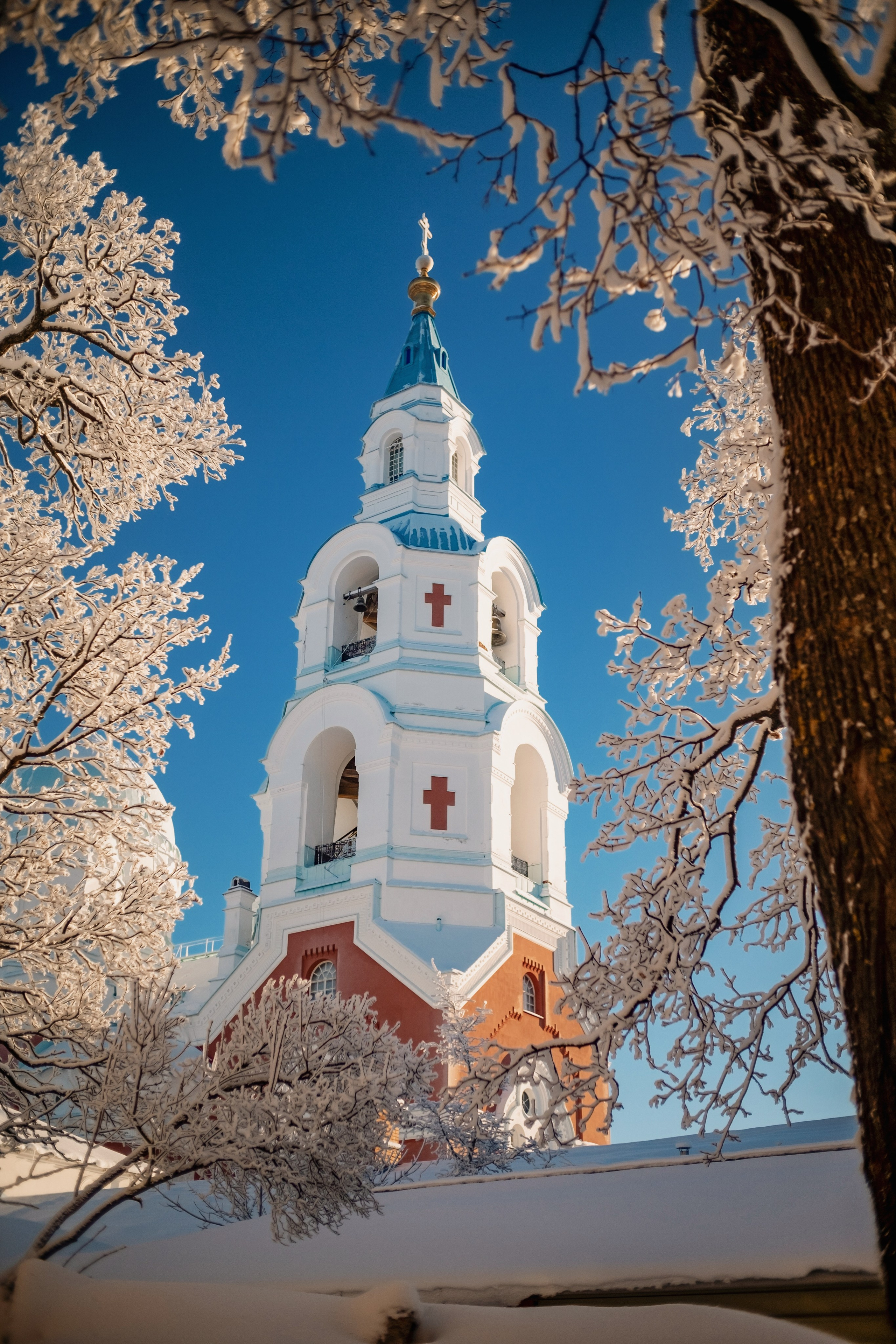 Природа. Трандин Иван Фотограф СПб