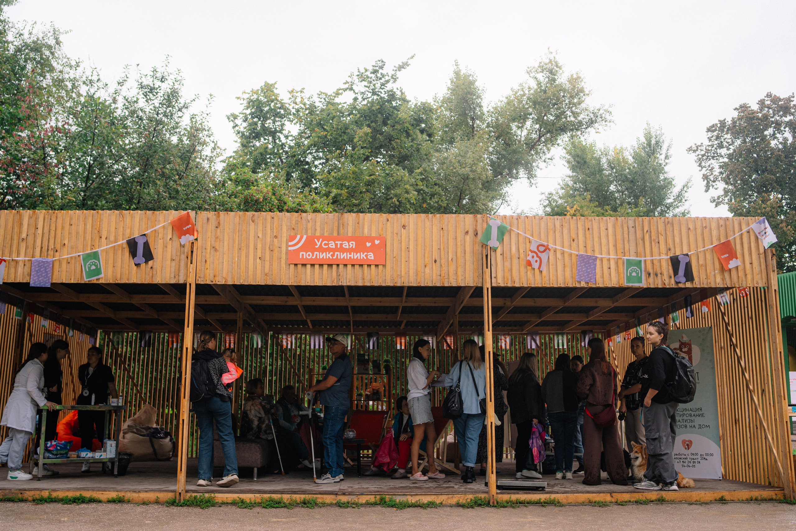 Фотоотчет ЛАПКИ ТАПКИ в Барнауле. Репортажный (Event) фотограф в Барнауле | Даниил Маркин | Качество и вайб