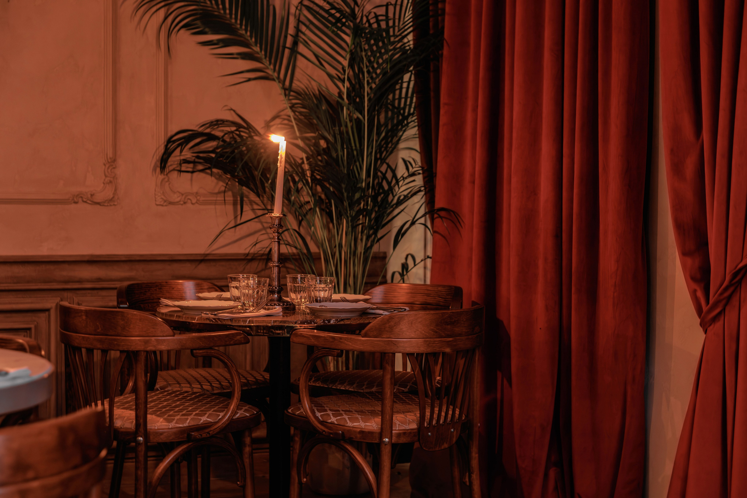 Медведь. Репортажный фотограф в Санкт-Петербурге Жолудев Владислав