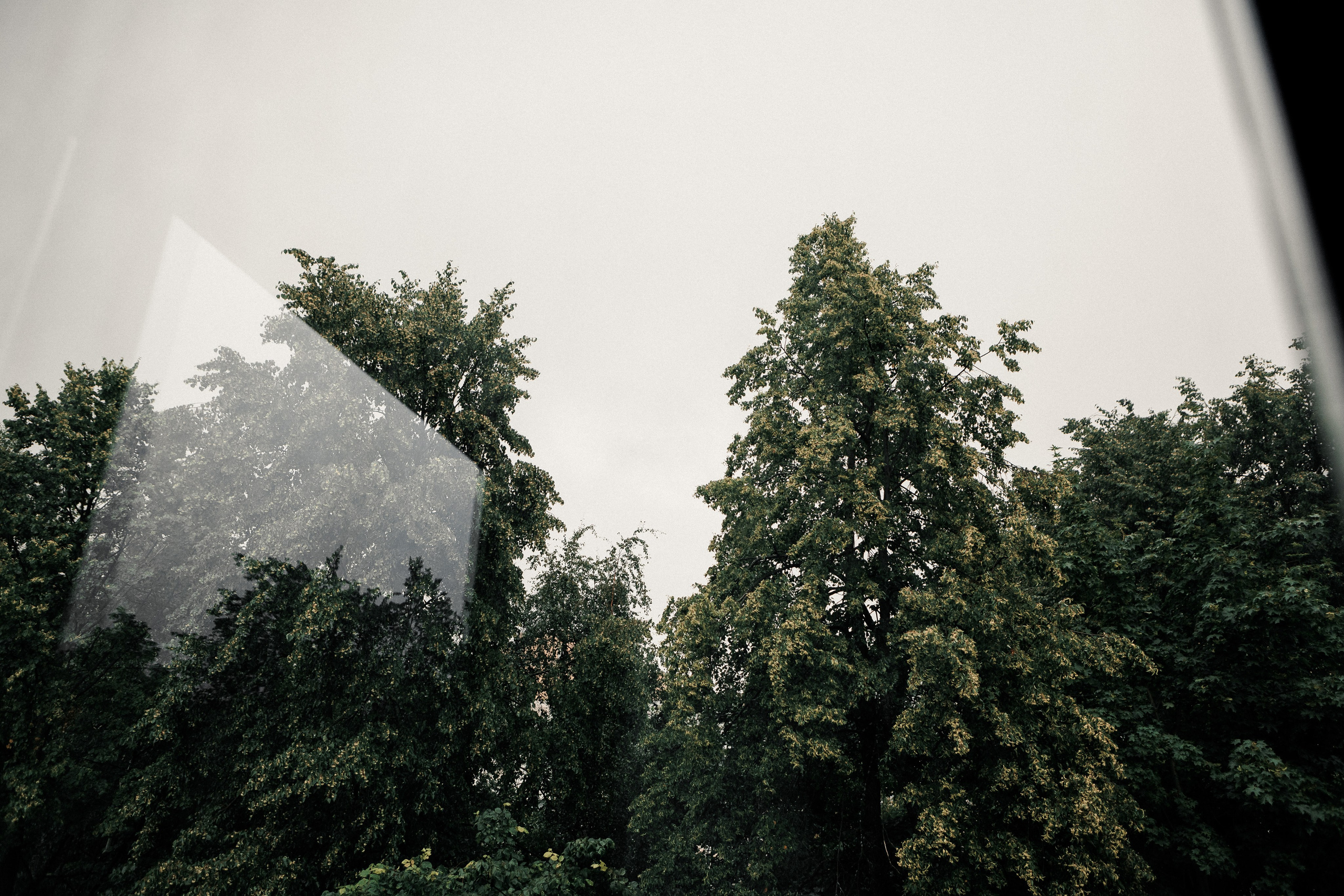 Павел и Анастасия. Свадебный и портретный фотограф в Архангельске Илья Труфанов