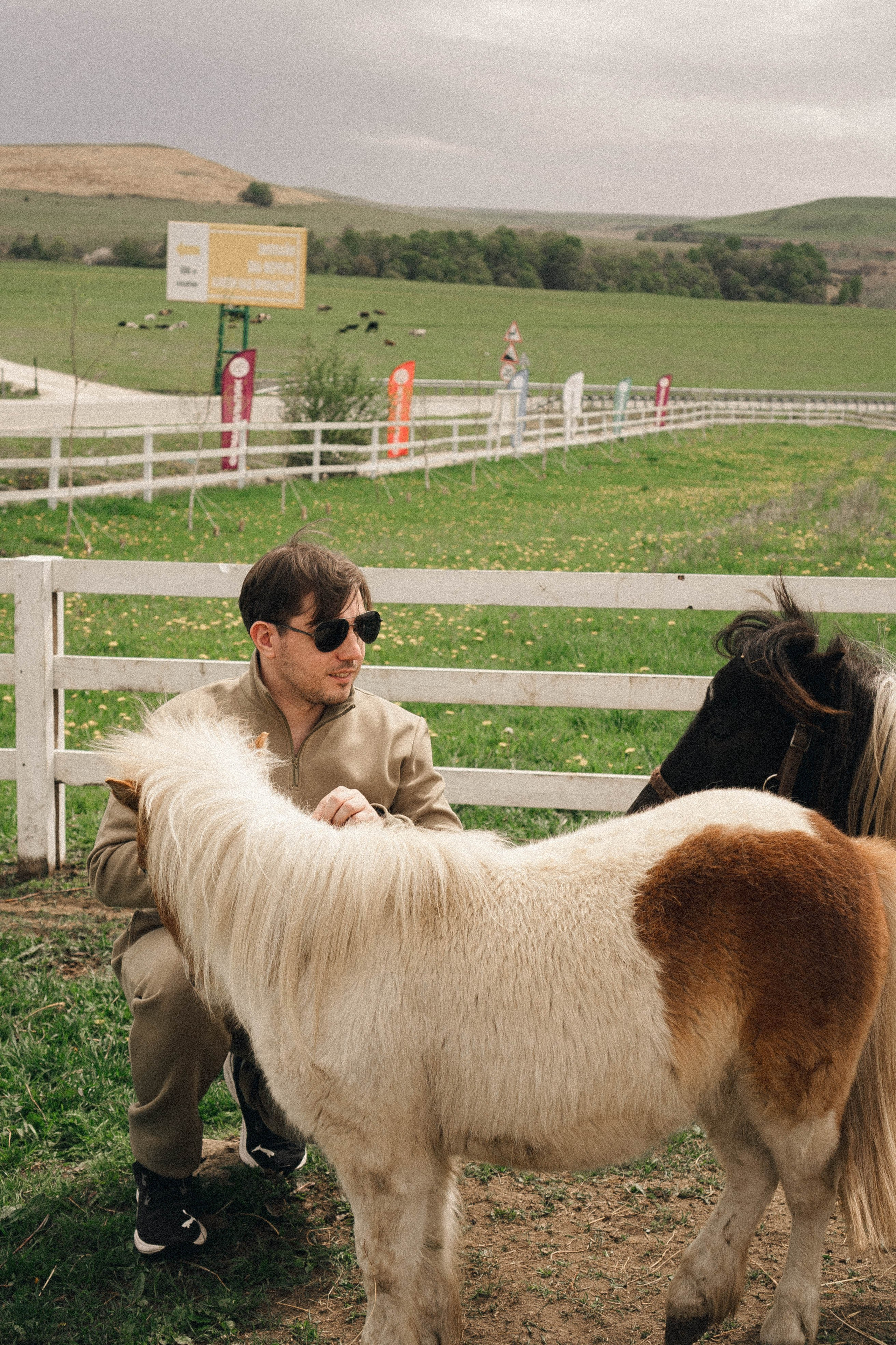 Ферма Альпак. Профессиональный фотограф, Санкт-Петербург — Виктория Богомолова