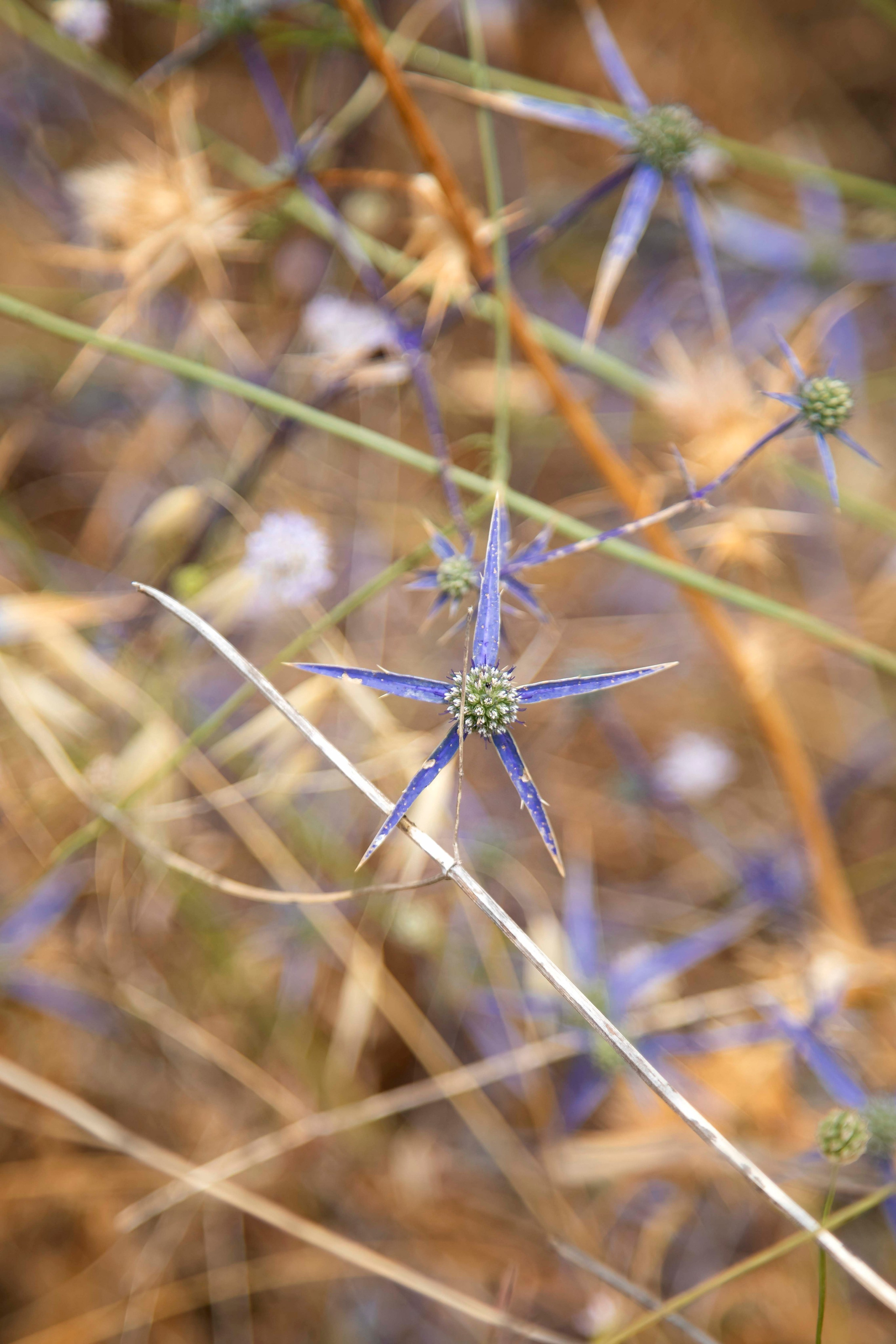 Lera. Семейный и детский фотограф в Санкт-Петербург. Natalia Fadel