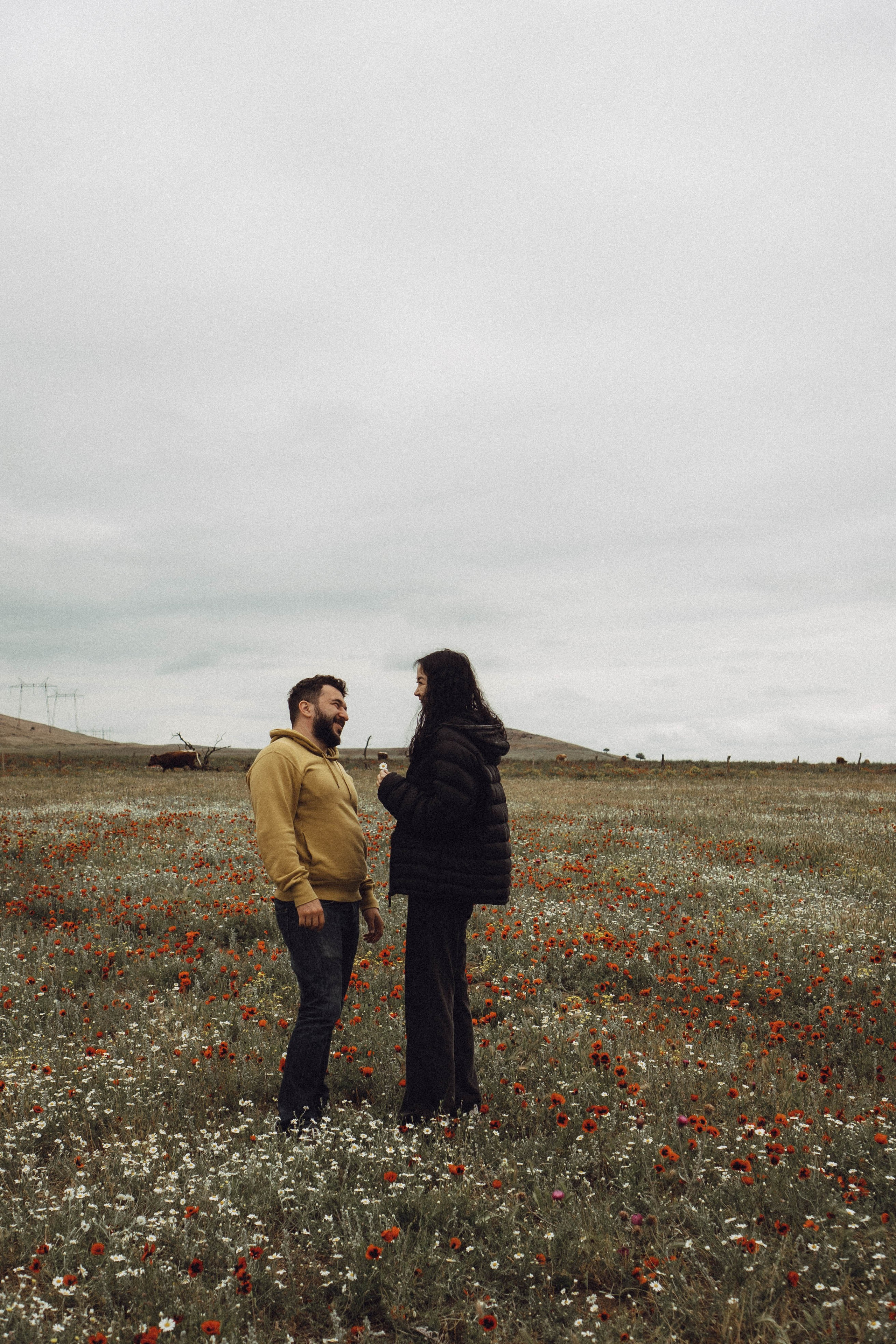 Любовь в маковом поле. Профессиональный фотограф, Санкт-Петербург — Виктория Богомолова