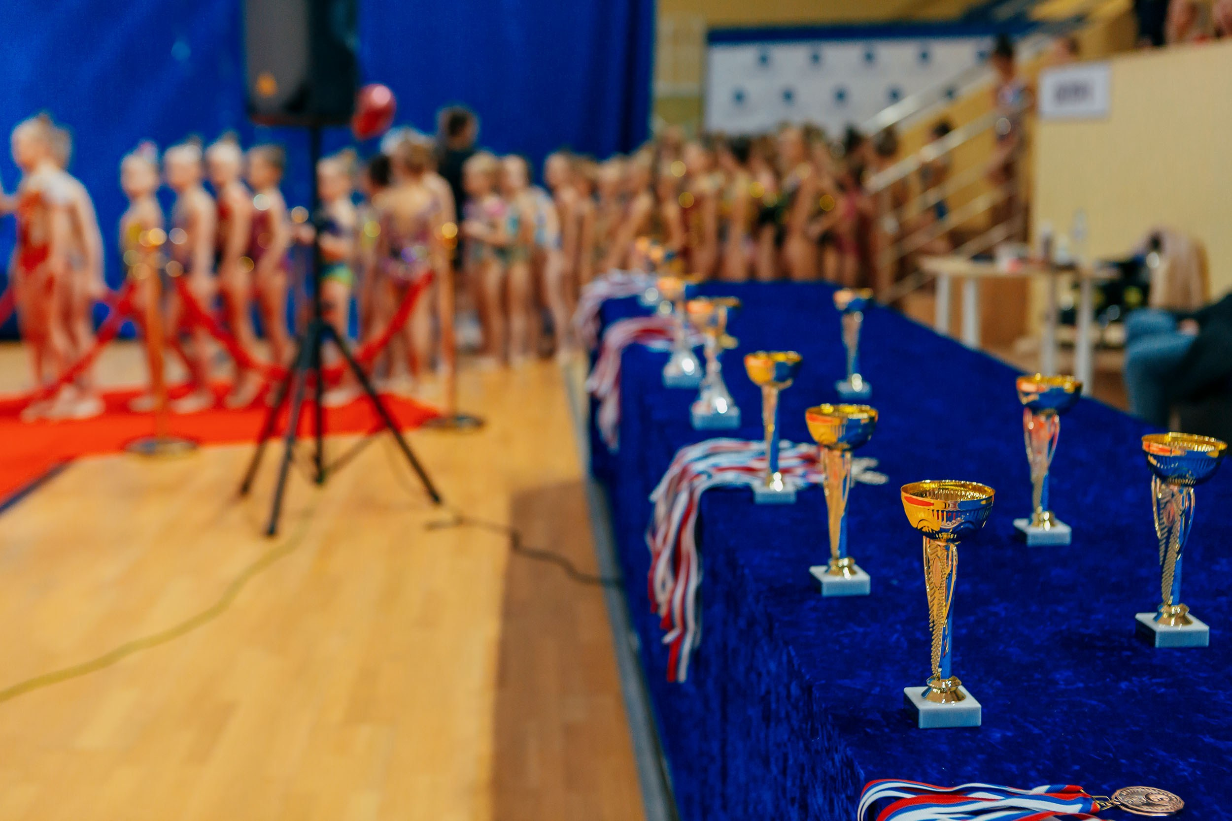 Чемпионат и Кубок Смоленской области по художественной гимнастике. Спортивный фотограф Александр Васильев. RG и AGG