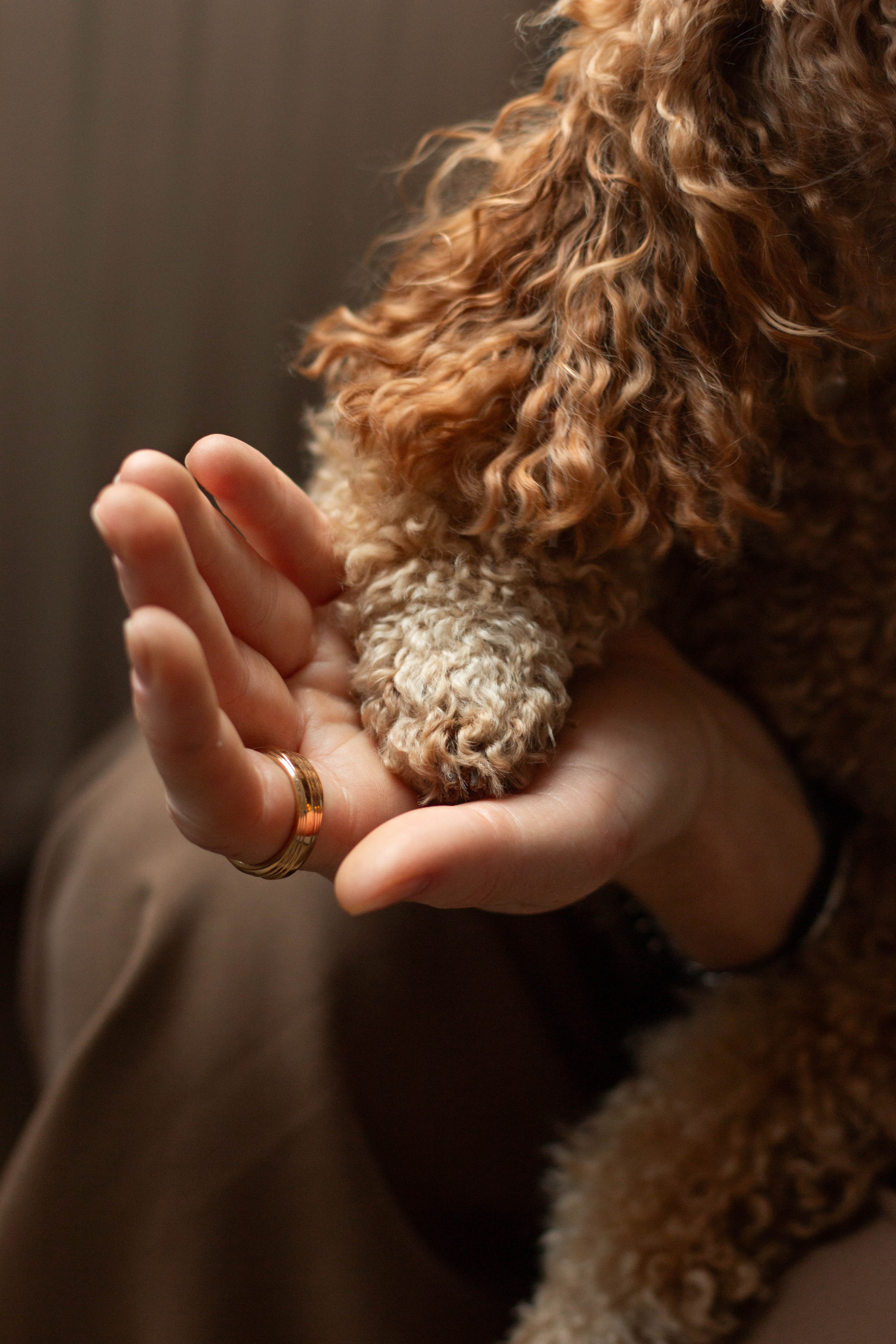 Olga & Eric. Бережно сохраняю ваши чувства и истории на своих фотографиях