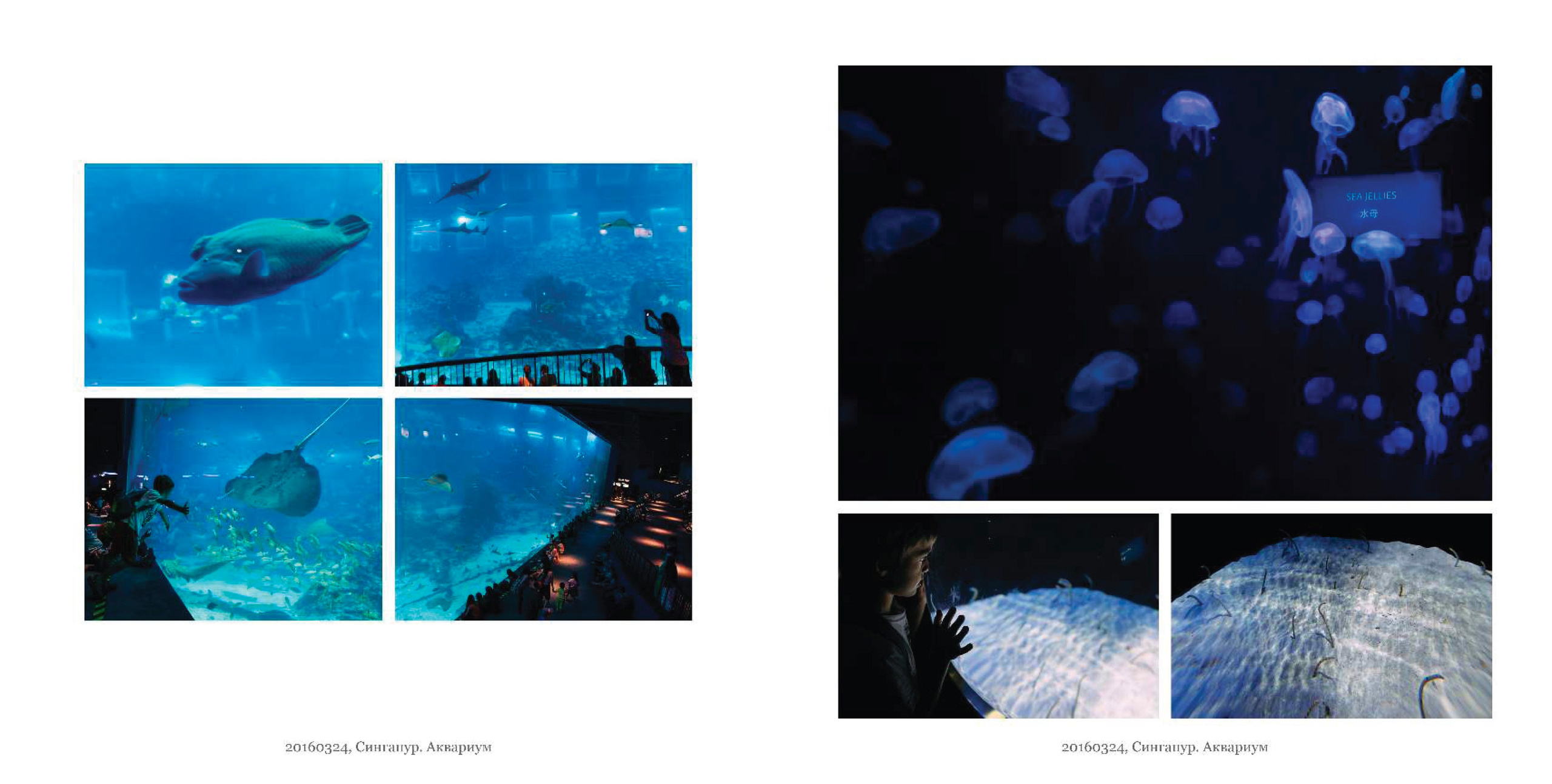 BEST FAMILY BOOK 2017