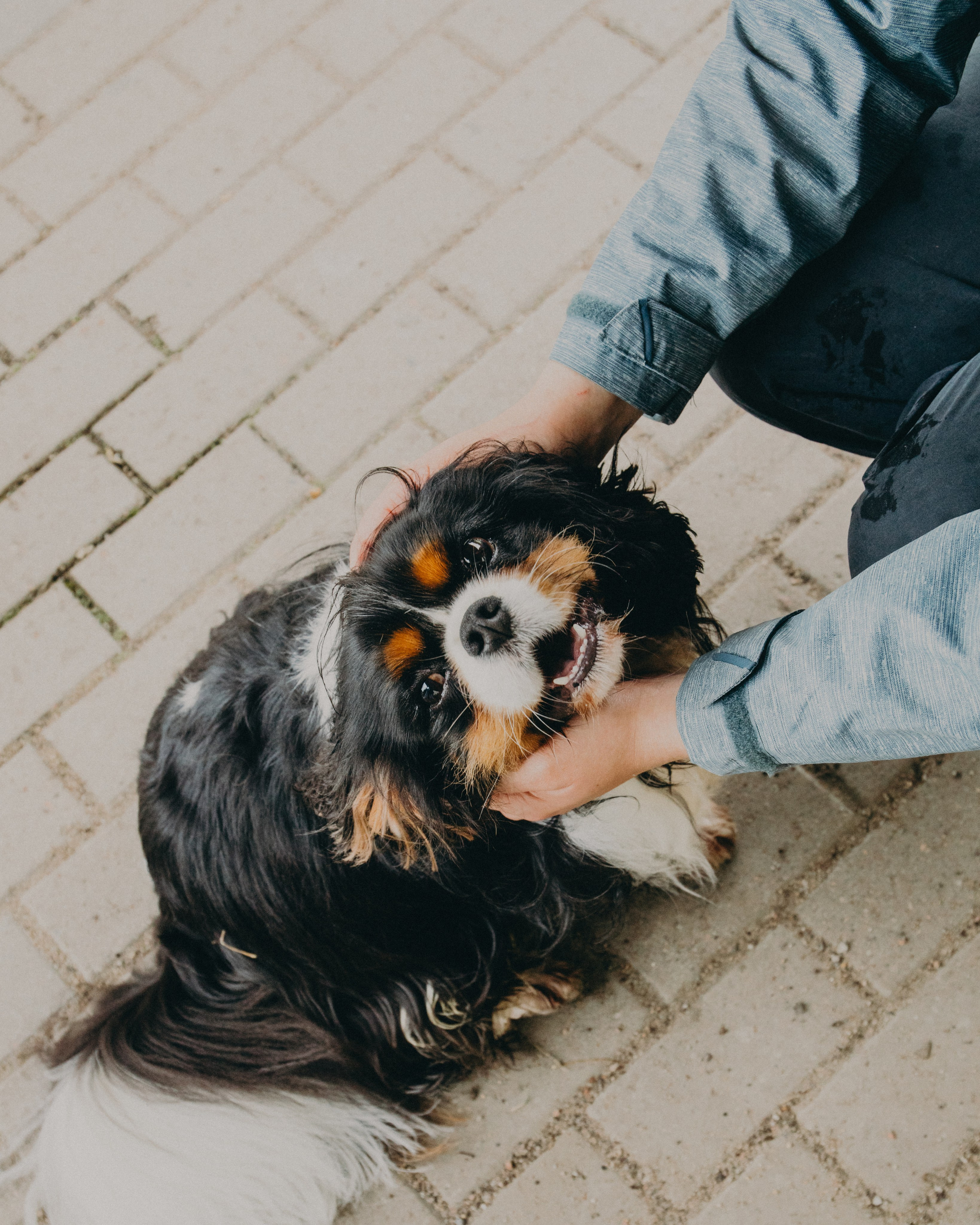 Гилдин. Портретный фотограф Ванинен Анастасия. Санкт-Петербург