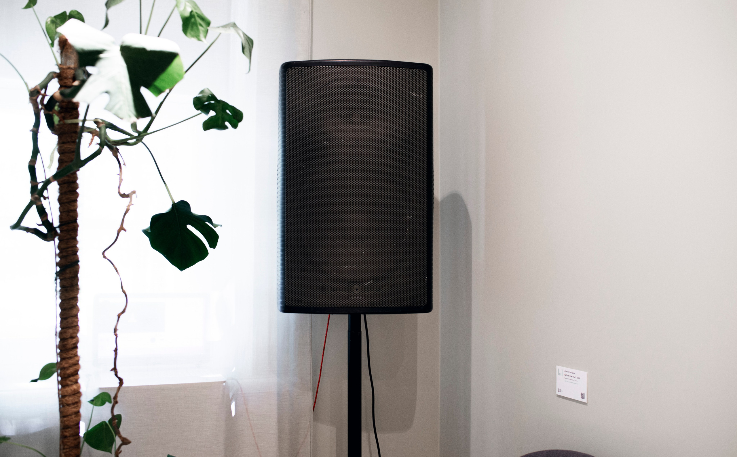 Выставка в доме Третьяковых. Фотограф в Москве Алейникова Евгения