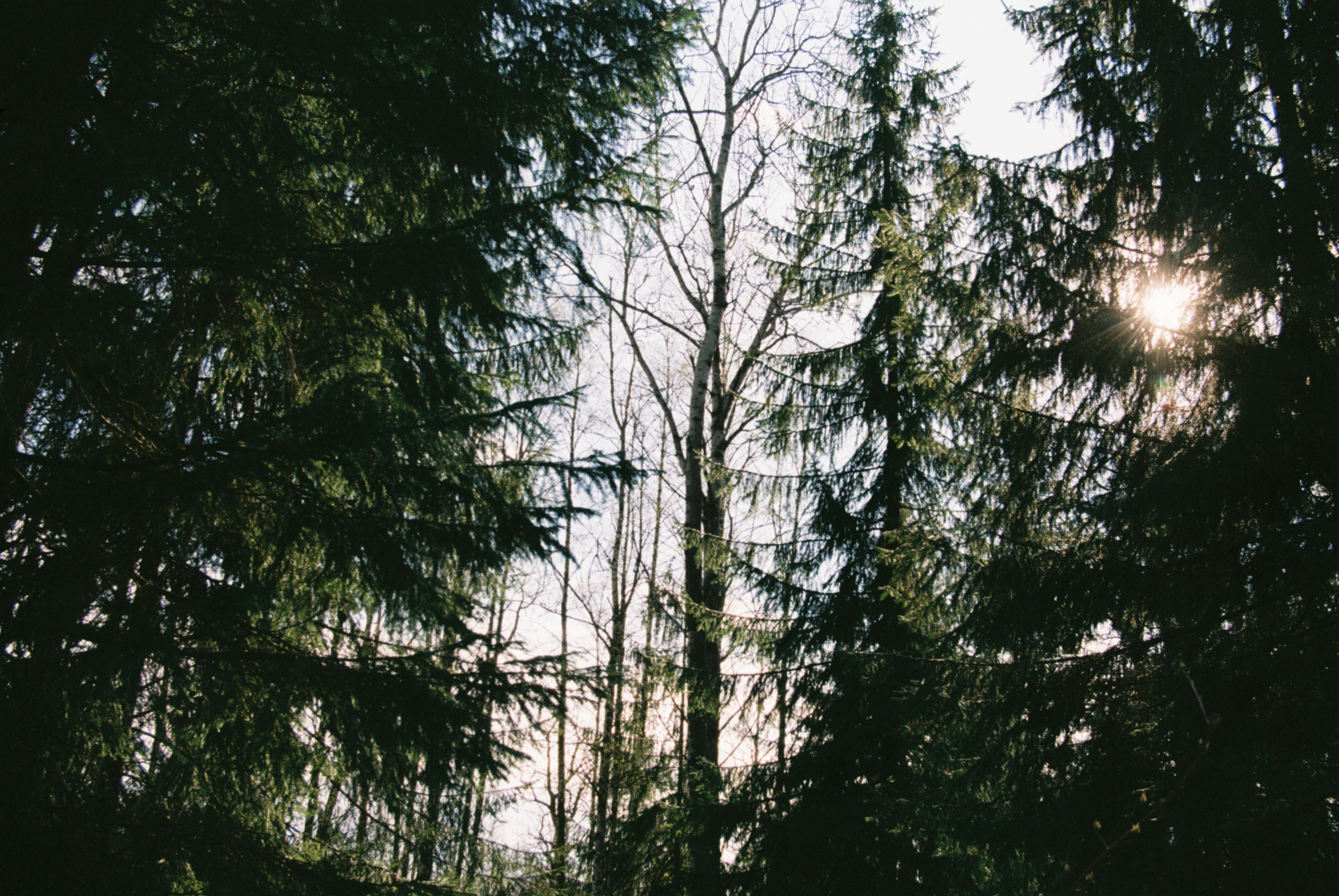 Film. Ruslan UI Dev Page