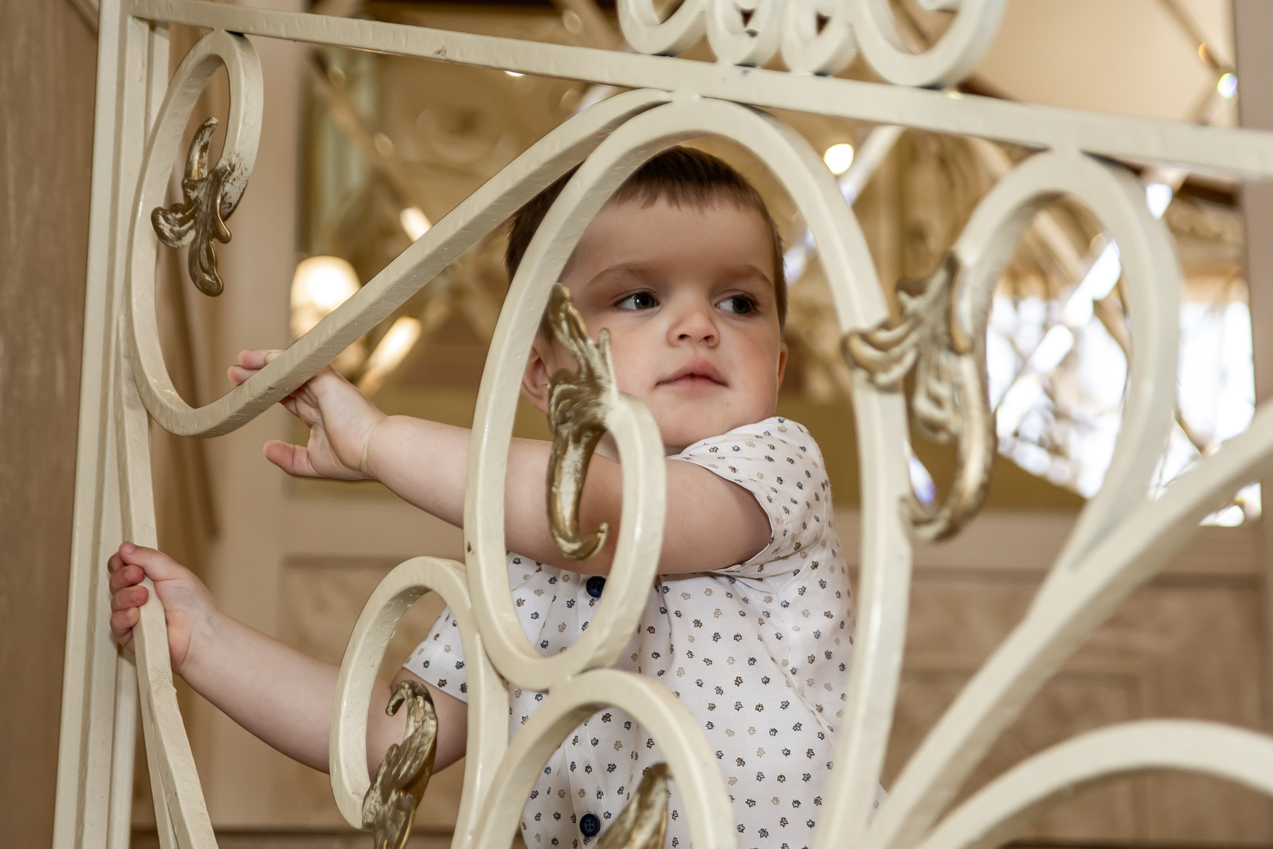 ЗАГС: соединяя судьбы. Фотограф • Орехово-Зуево • Балашиха • TEFO