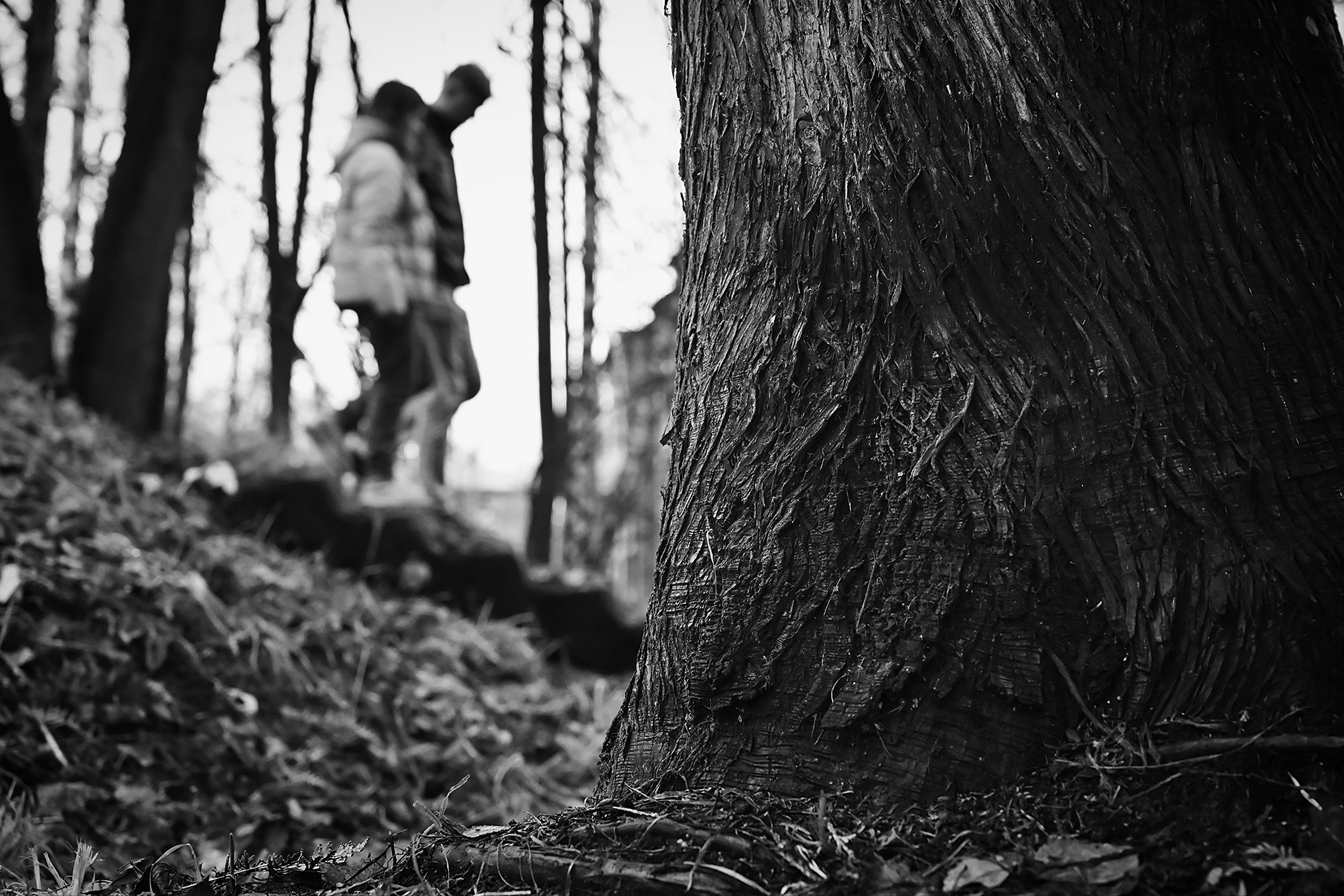 Марина и Сергей. Фотограф в Ярославле Владимир Летуновский