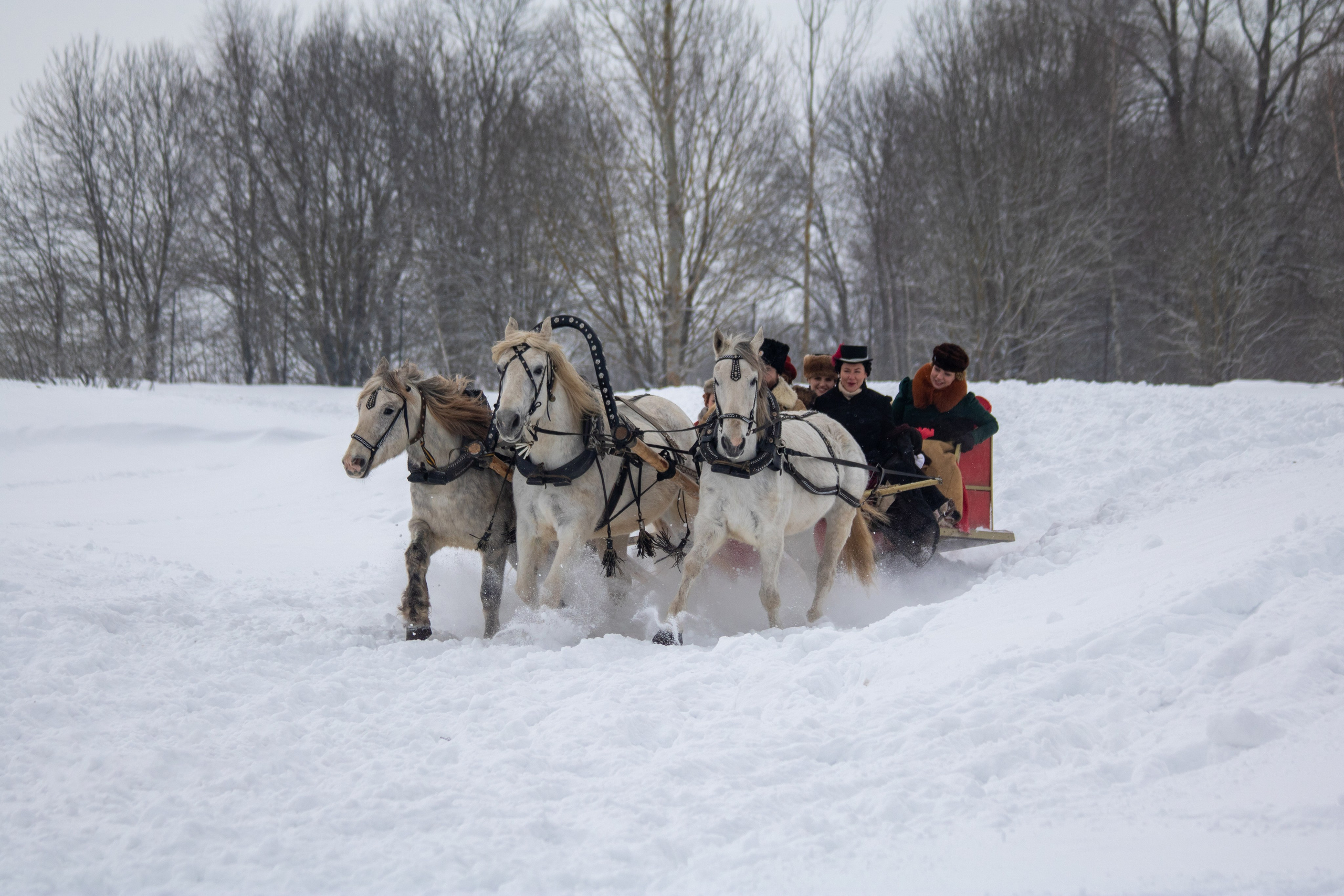Конно-псовые охоты. Балетный фотограф в Москве Галина Молчанова