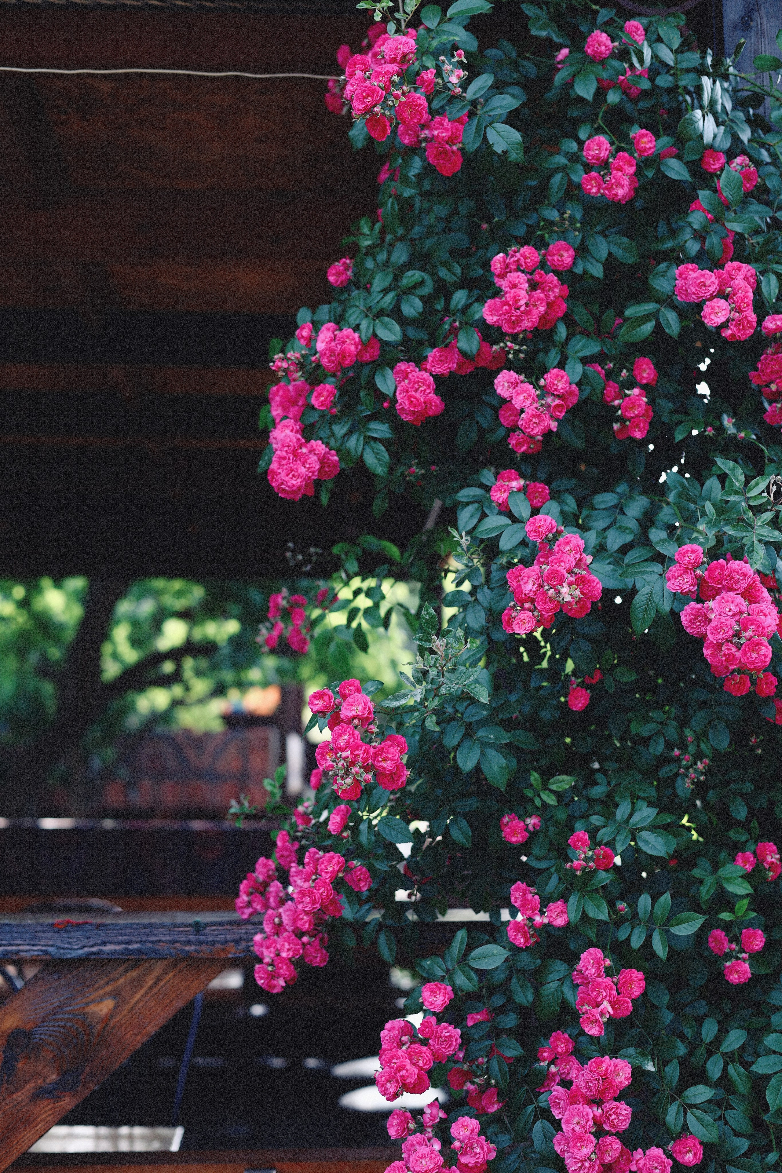 Все, что вокруг меня. Фотограф Евгения Ошкина, Саранск