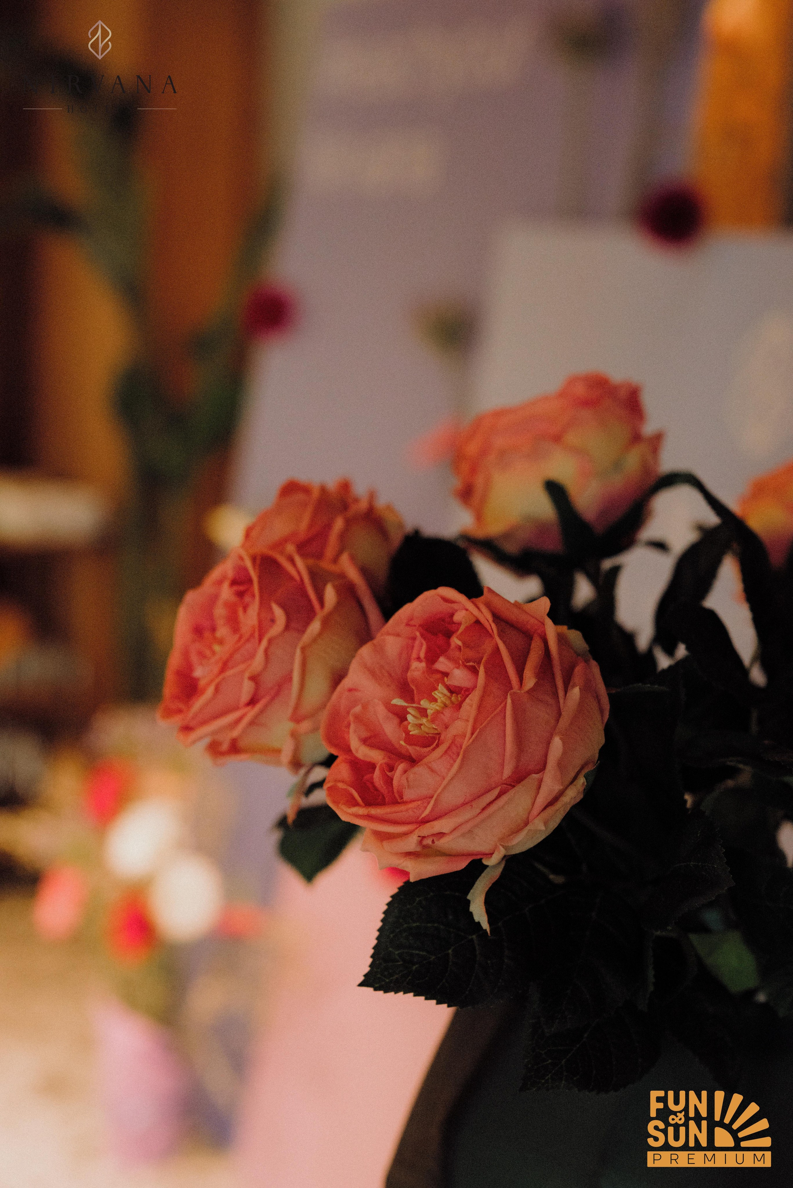 Nirvana hotels / FUN&SUN бранч — презентация. Фотограф в Минске