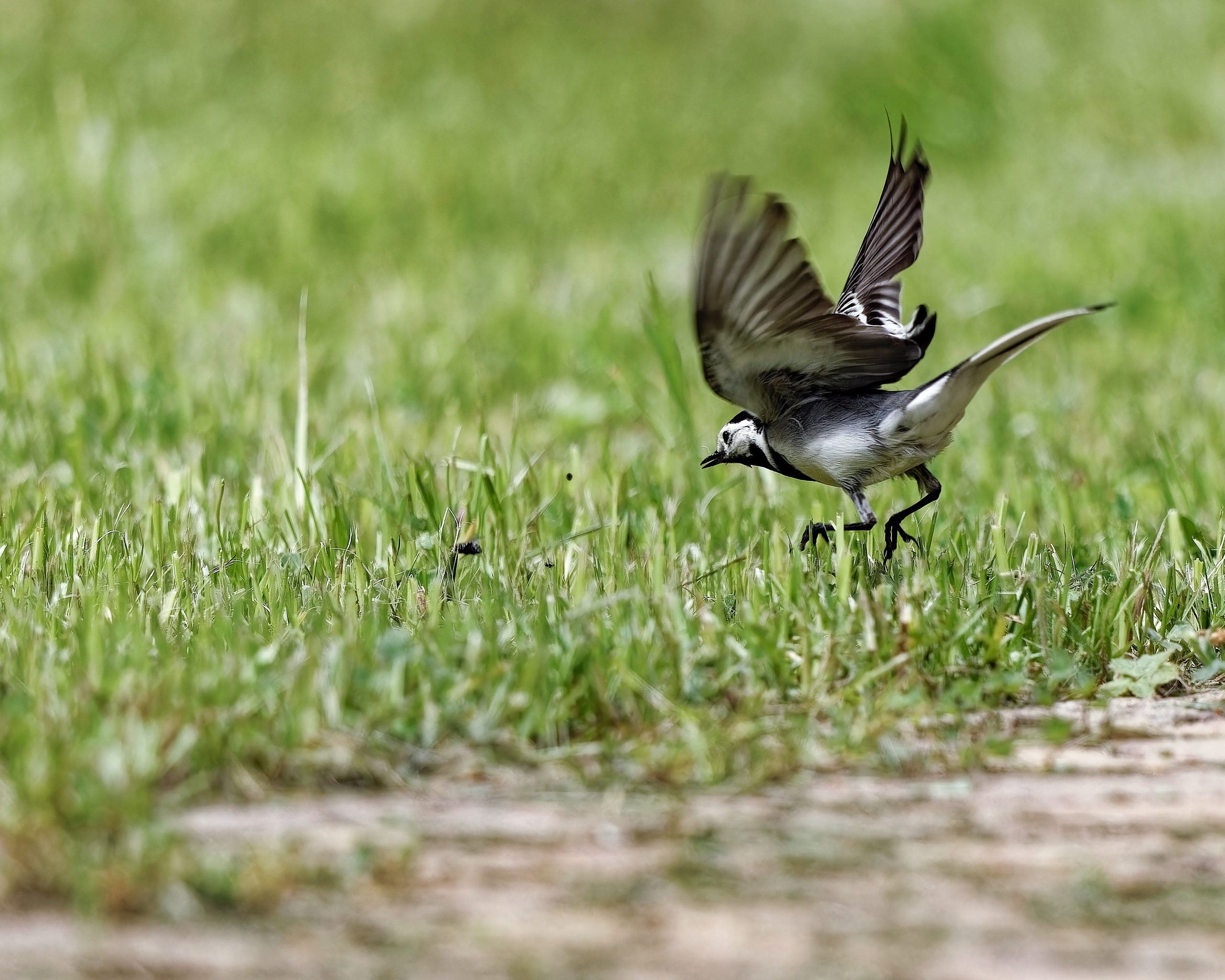 ЦЕЛЬ ВИЖУ, АТАКУЮ
