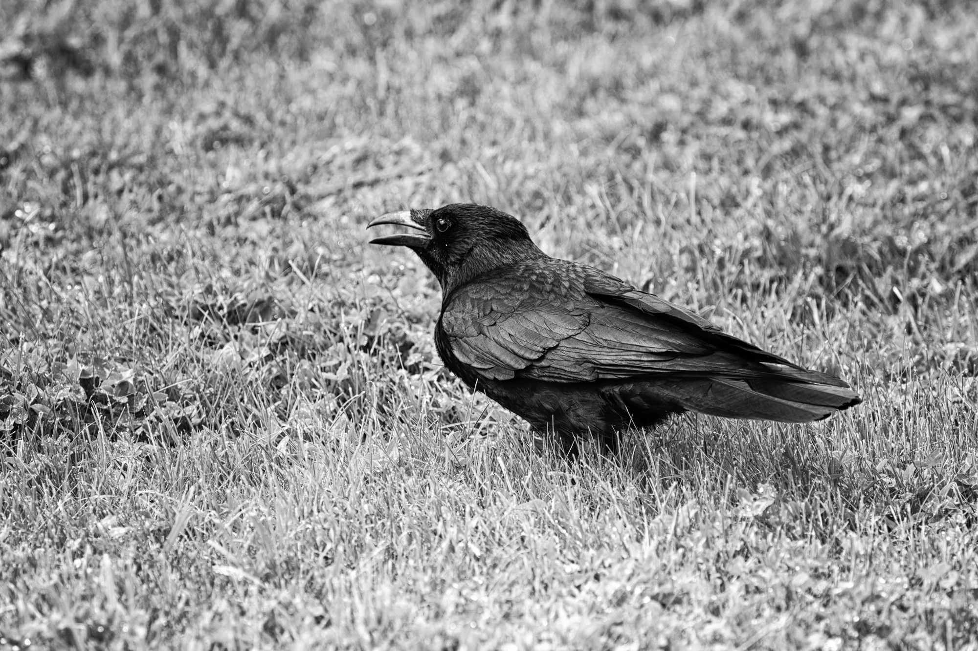ЛЮДИ И ИХ ТВОРЕНИЯ. Слепки времени. Фотографии природы и событий. Москва. Сергей Аллагулов