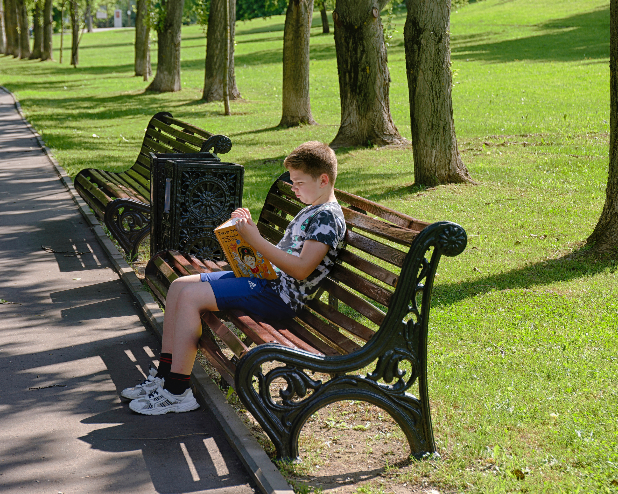 МАЛЬЧИК, ЧИТАЮЩИЙ КНИГУ