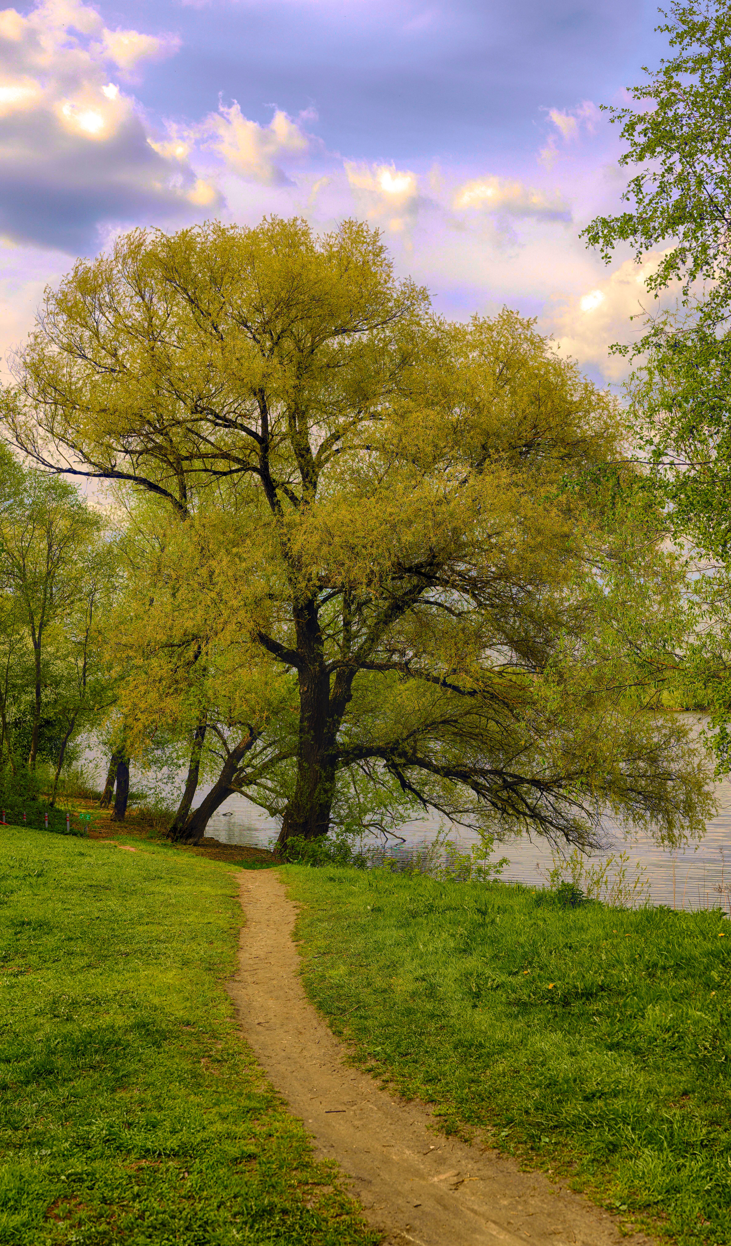 БЕРЕГ МОСКВА-РЕКИ