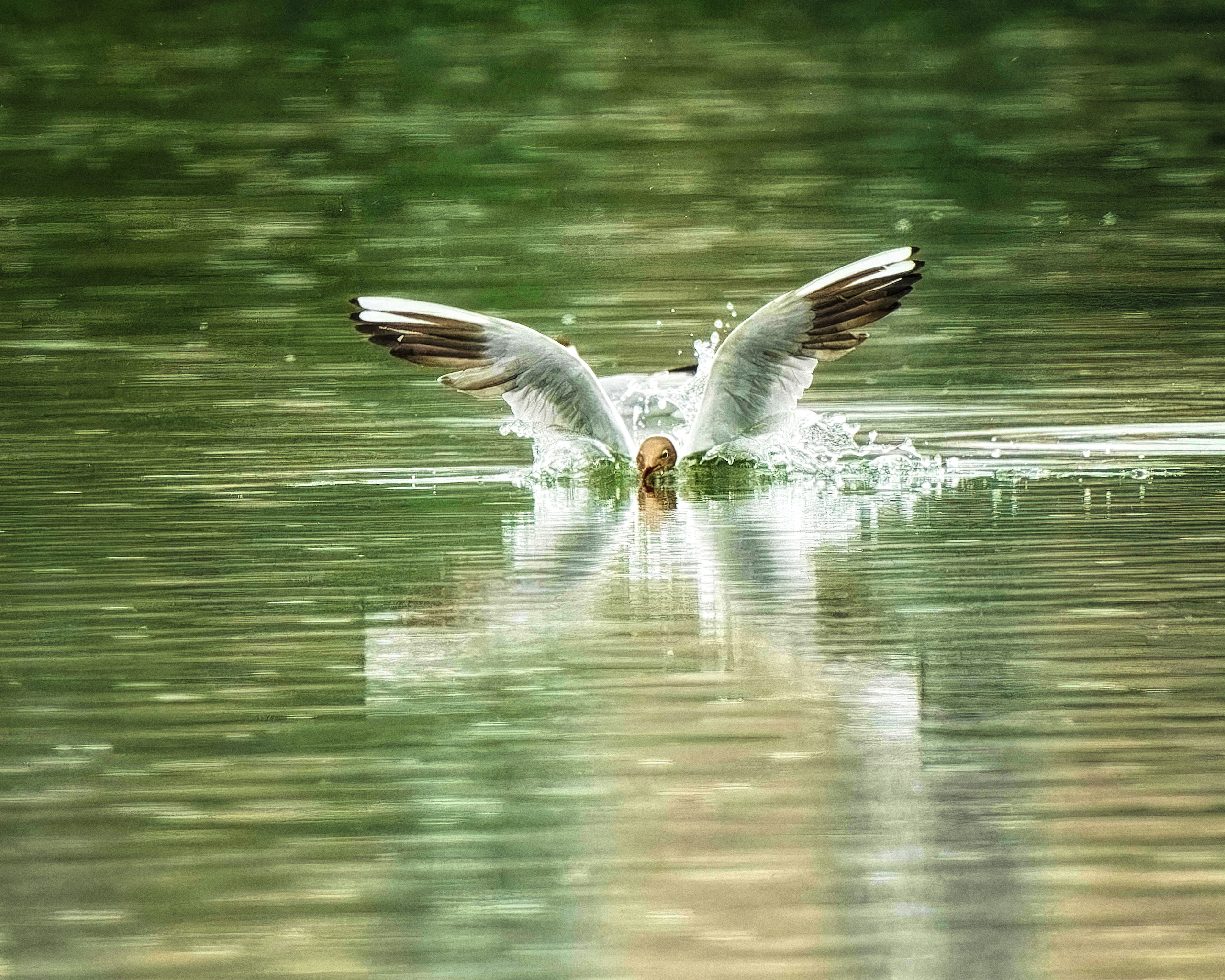 ВСЕПОГОДНЫЕ