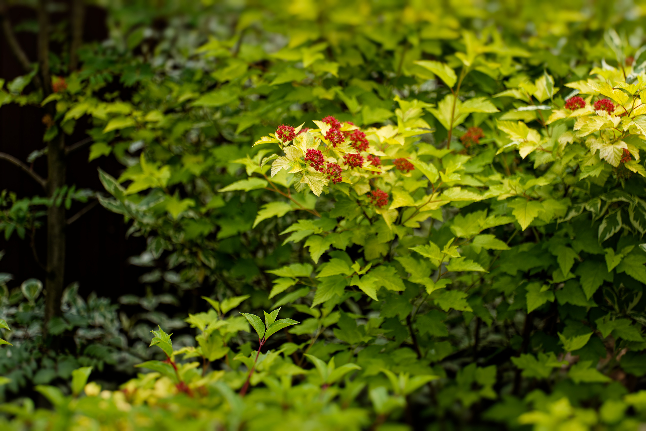 ПОСЛЕ ДОЖДЯ