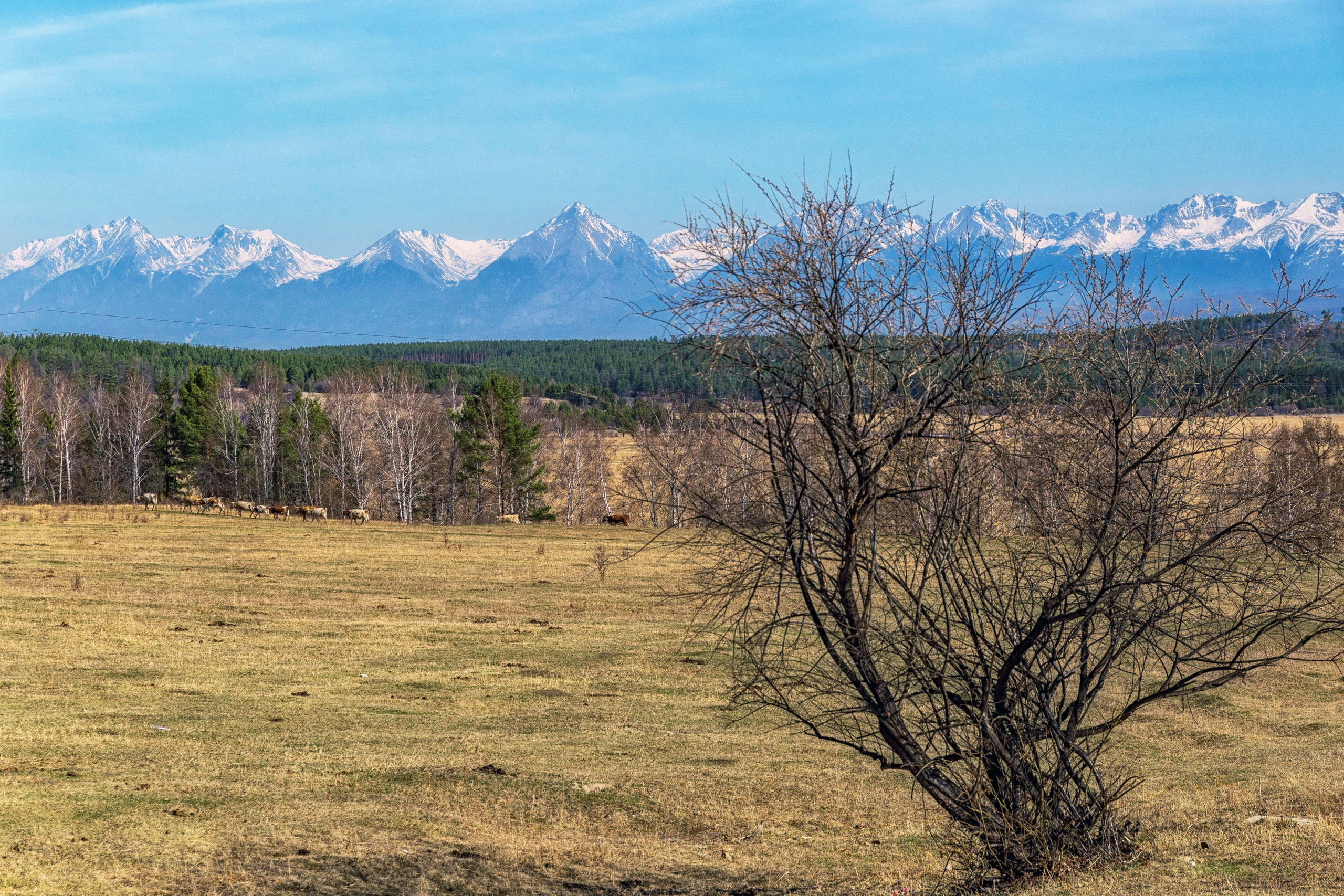 ДОРОГА НА АРШАН (РЕСПУБЛИКА БУРЯТИЯ)