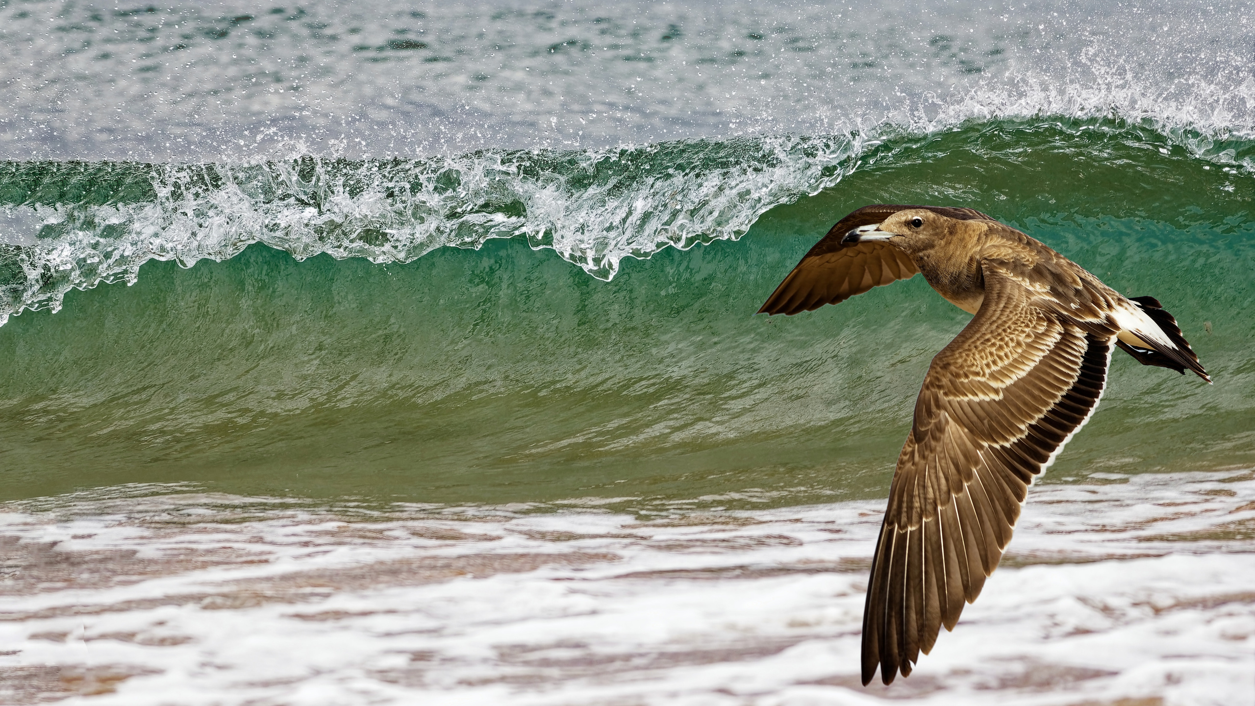 ФУДЖЕЙРА, ОАЭ